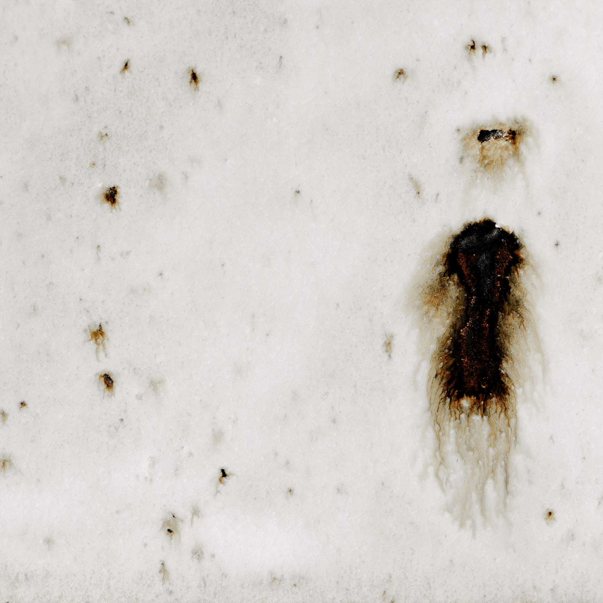 Bottle No.125/24 - huba.studio