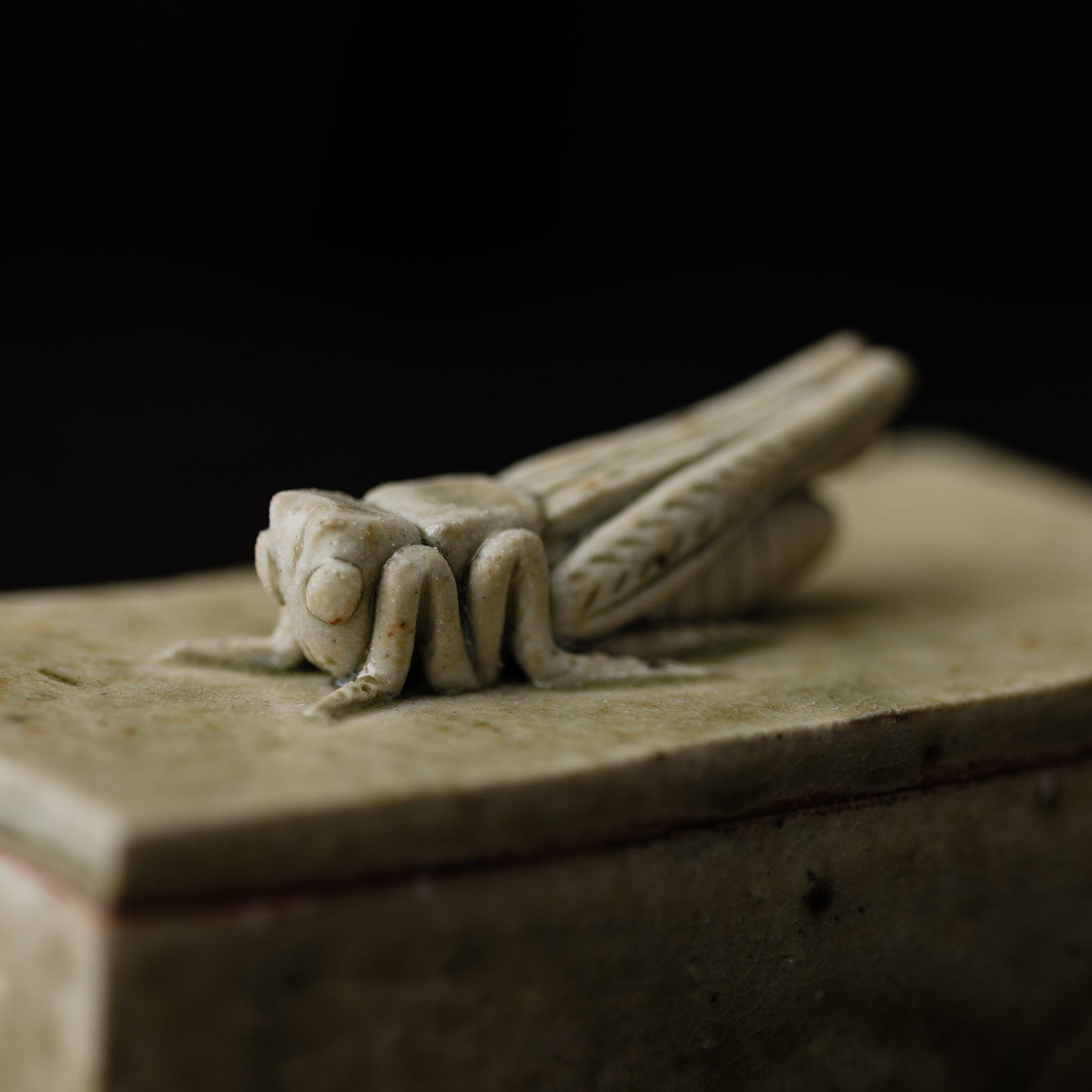 Box With A Grasshopper No.156/25 - huba.studio