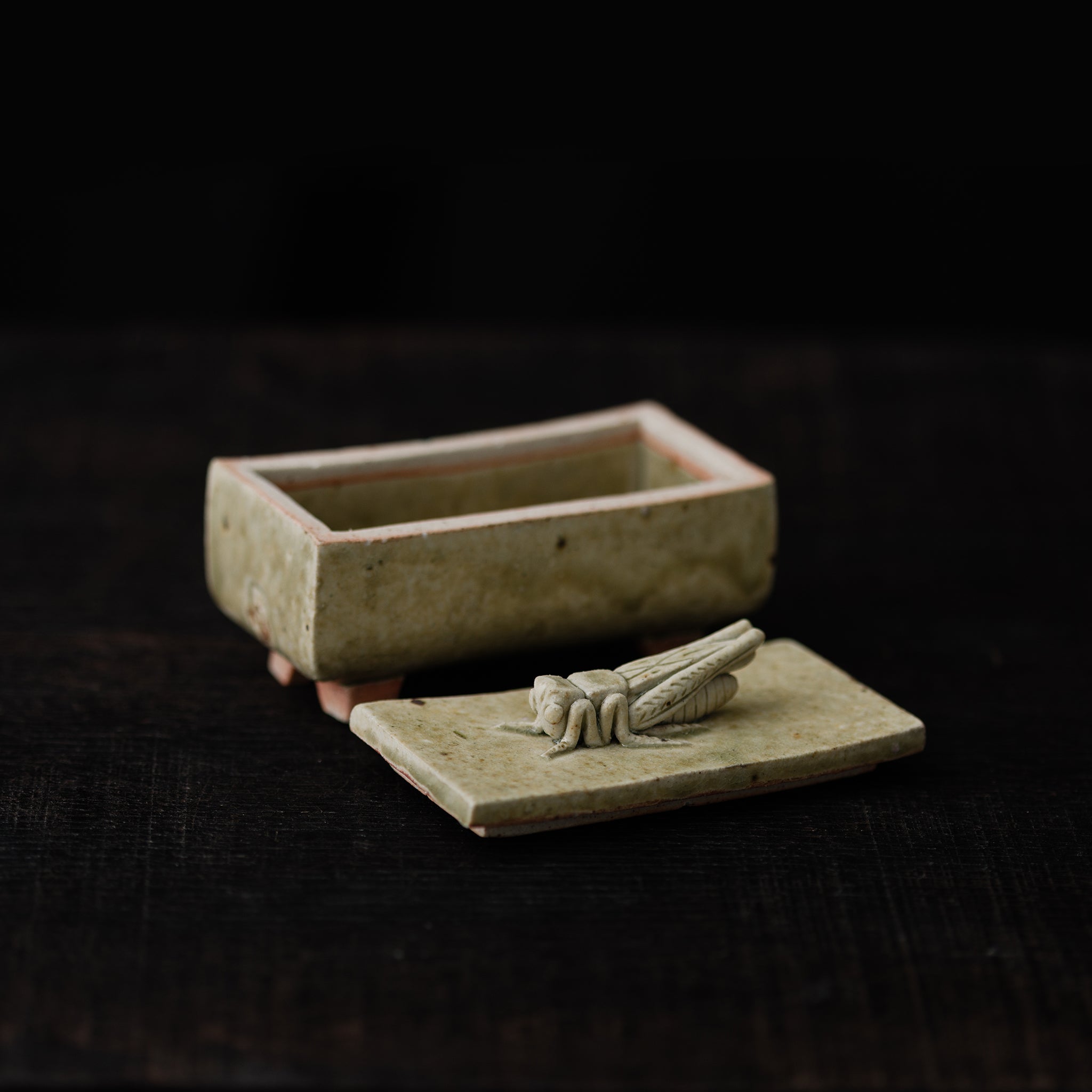 Box With A Grasshopper No.156/25 - huba.studio