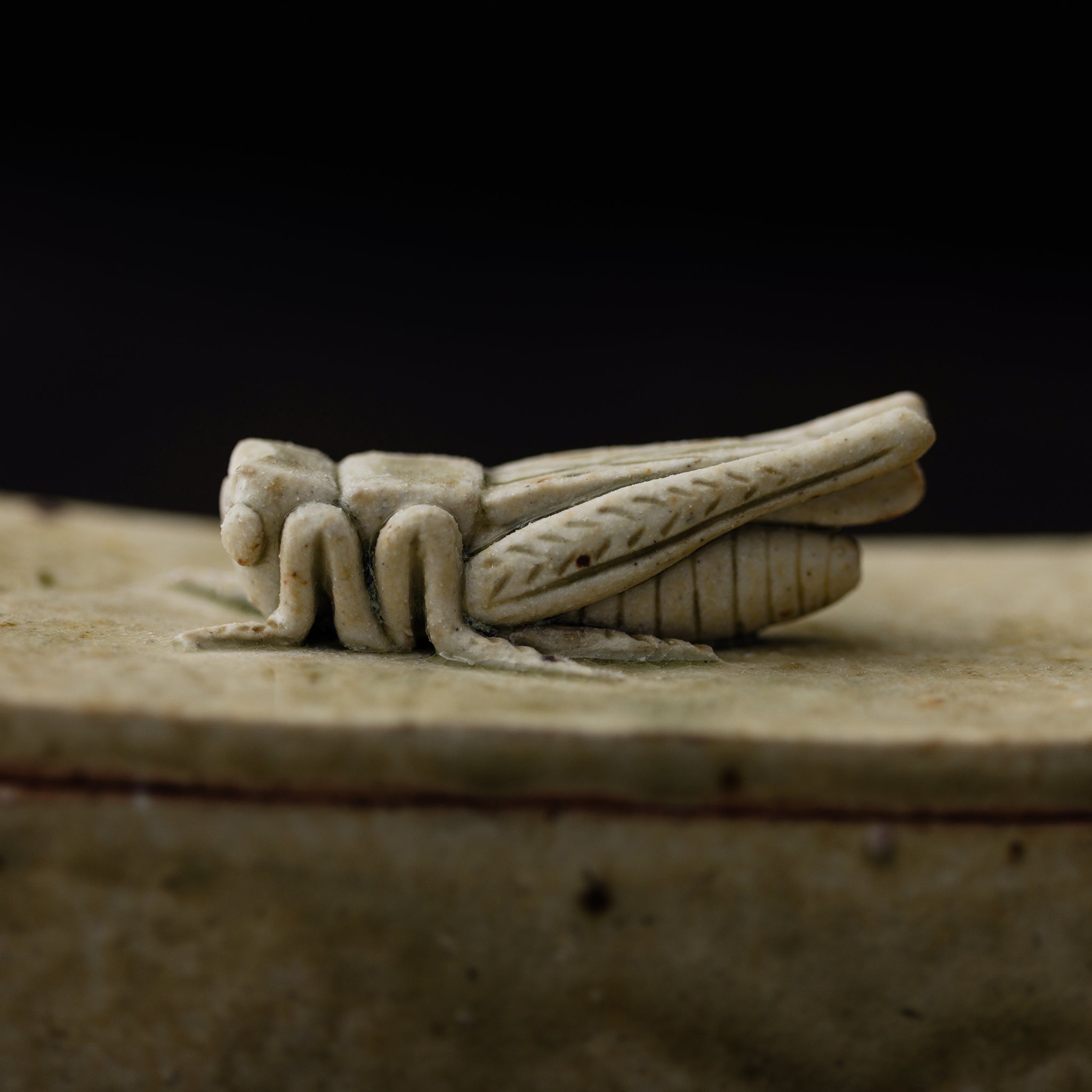 Box With A Grasshopper No.156/25 - huba.studio