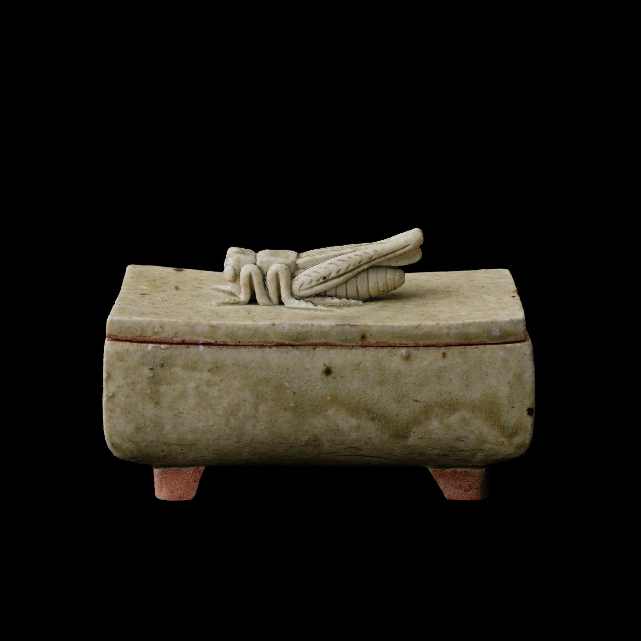 Box With A Grasshopper No.156/25 - huba.studio