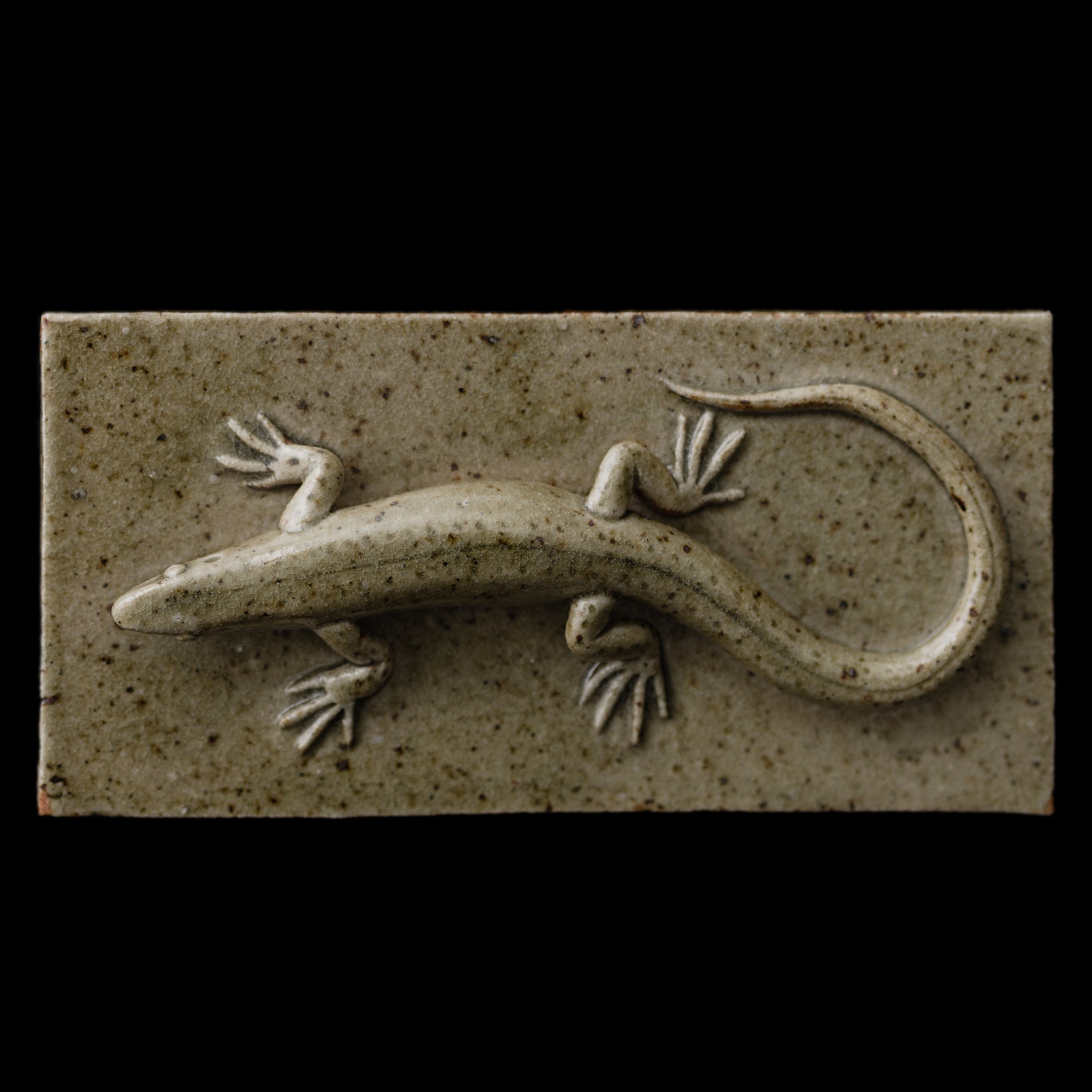 Box With A Lizard No.157/25 - huba.studio