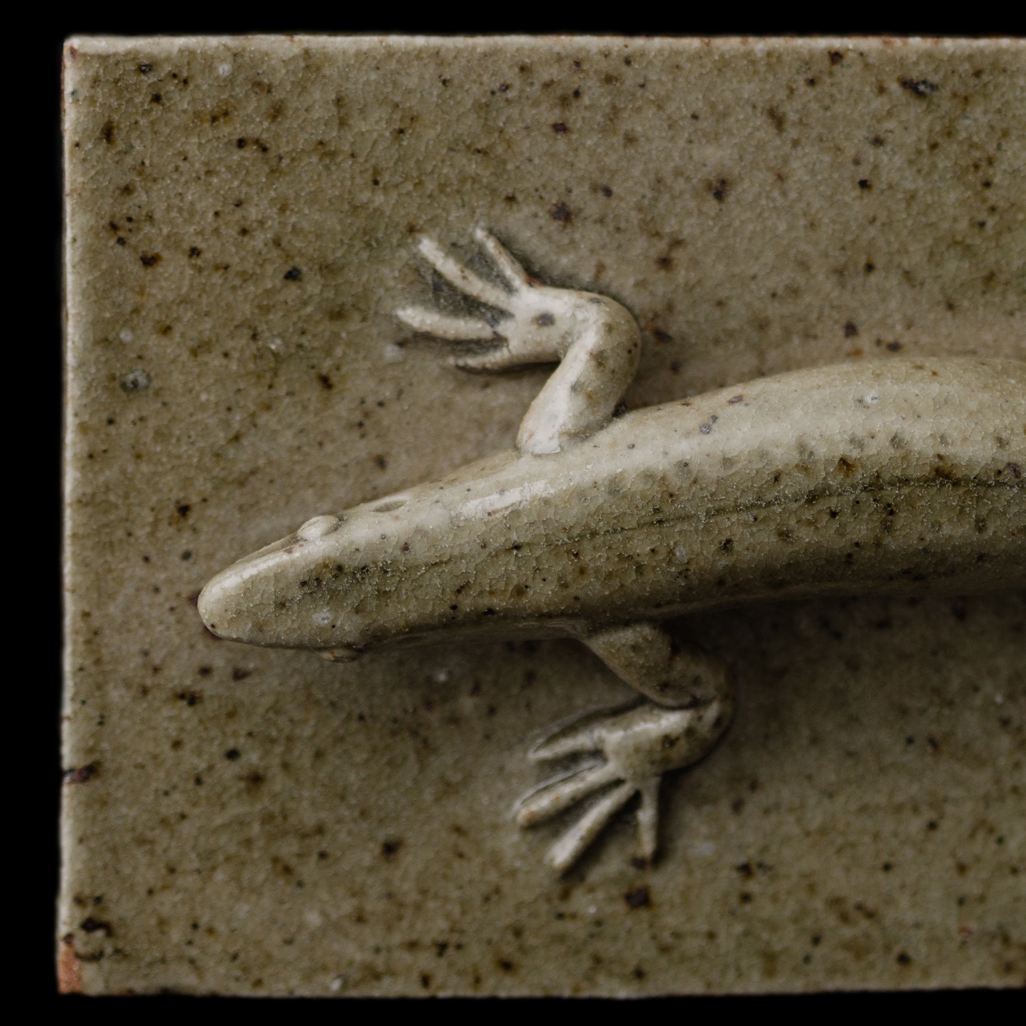 Box With A Lizard No.157/25 - huba.studio