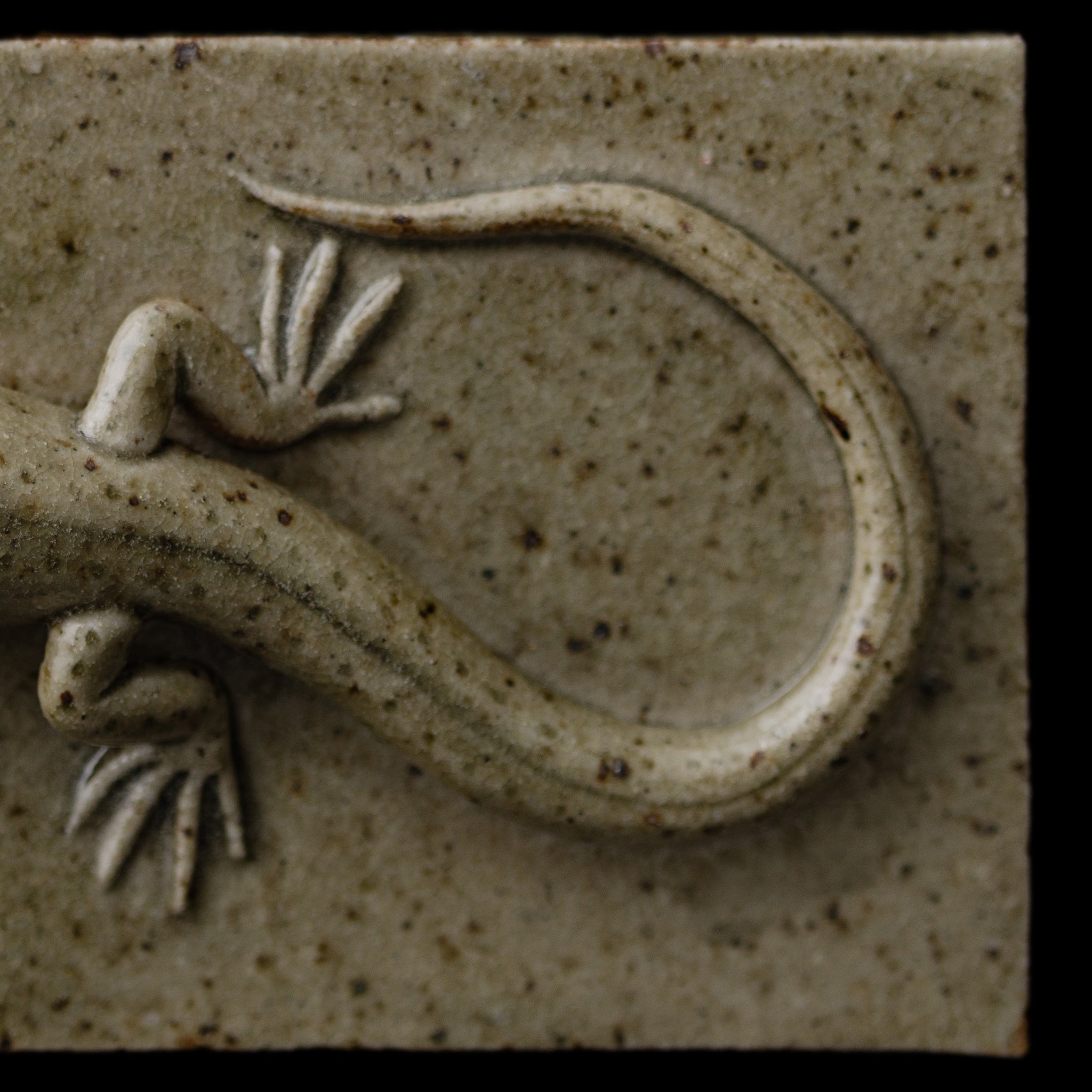 Box With A Lizard No.157/25 - huba.studio