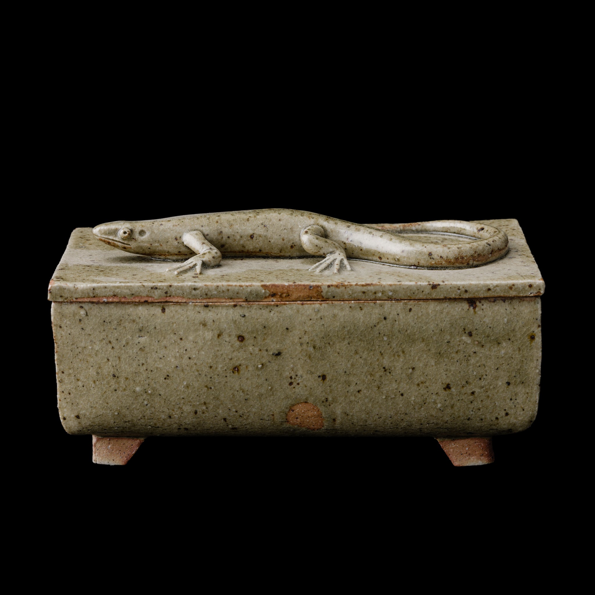 Box With A Lizard No.157/25 - huba.studio