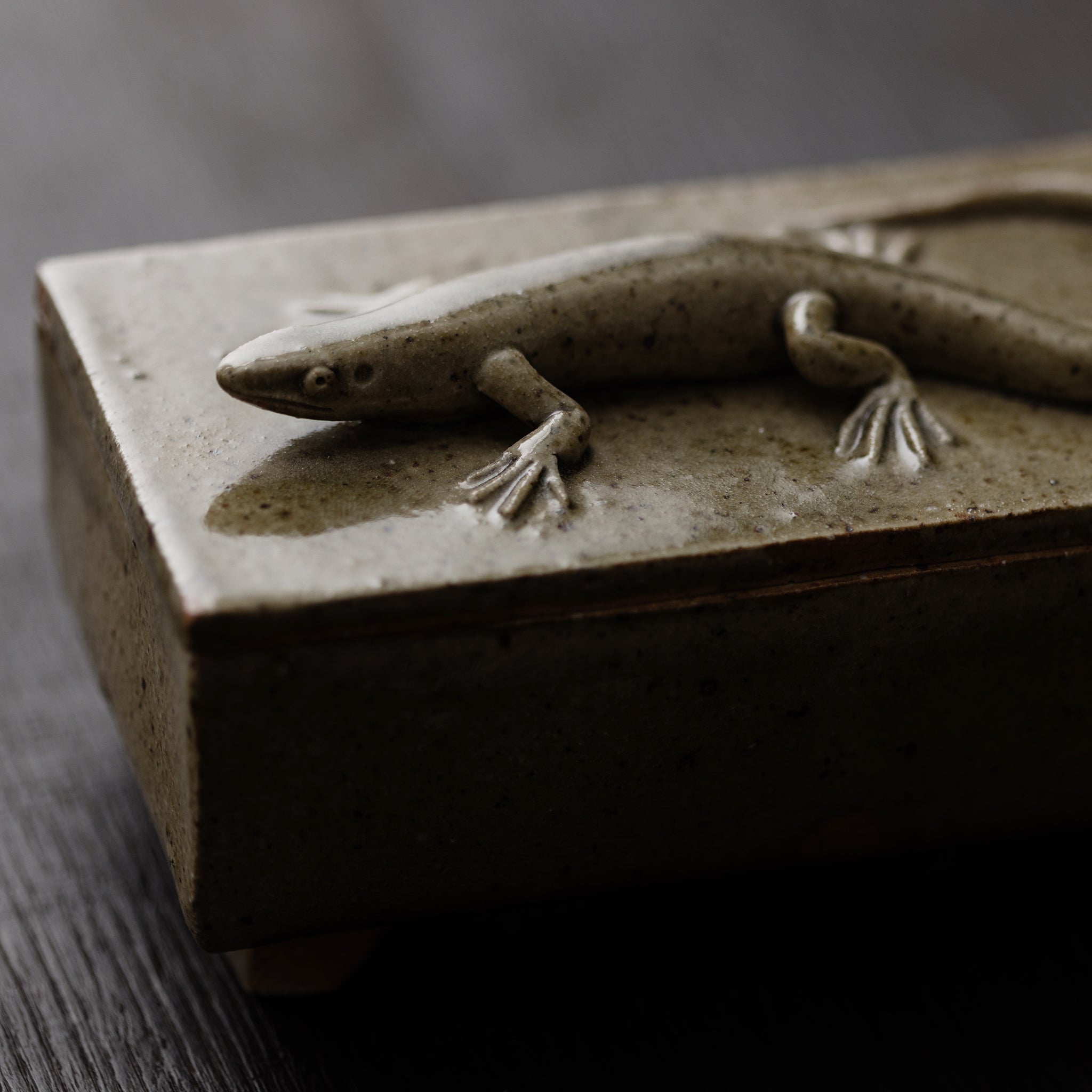 Box With A Lizard No.157/25 - huba.studio