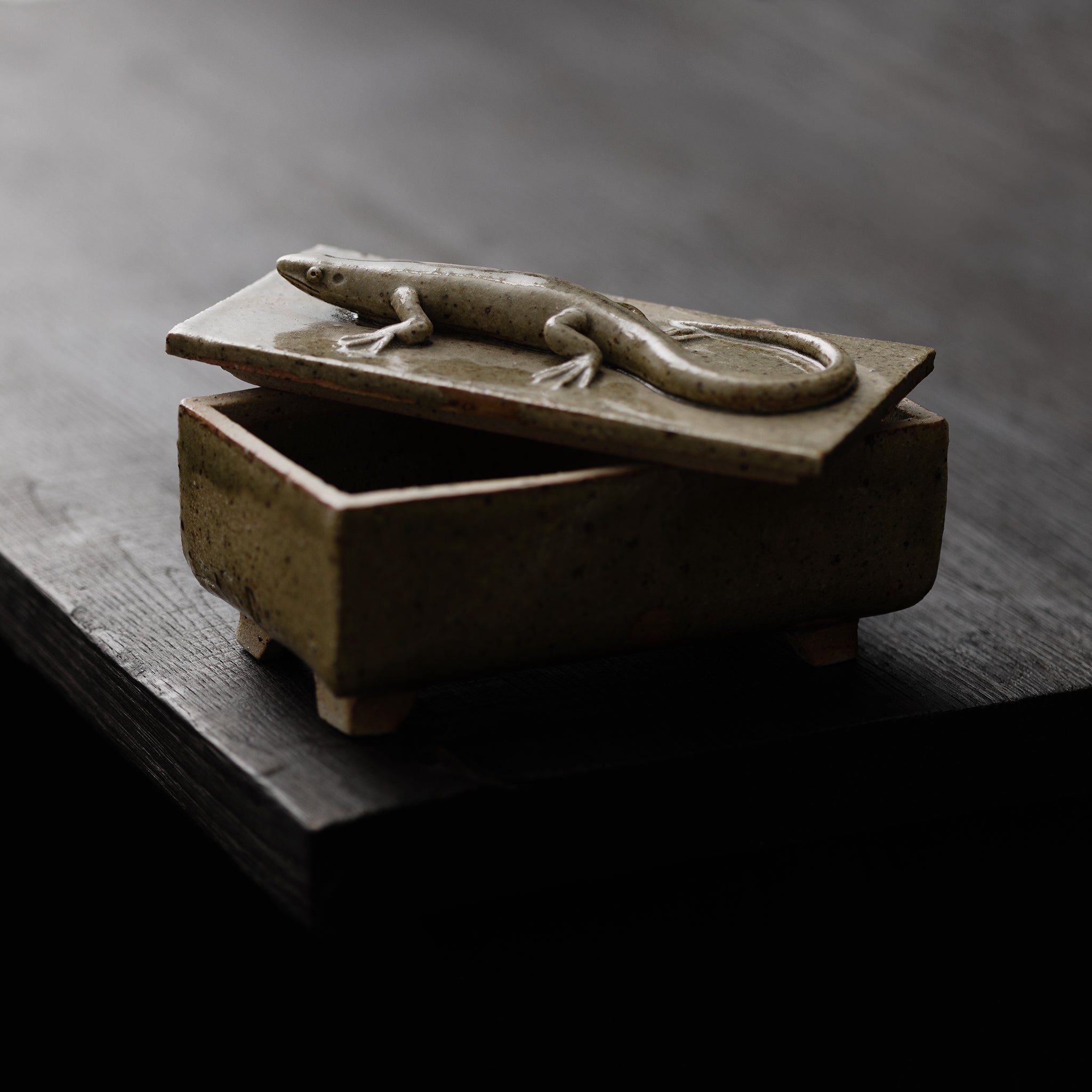 Box With A Lizard No.157/25 - huba.studio