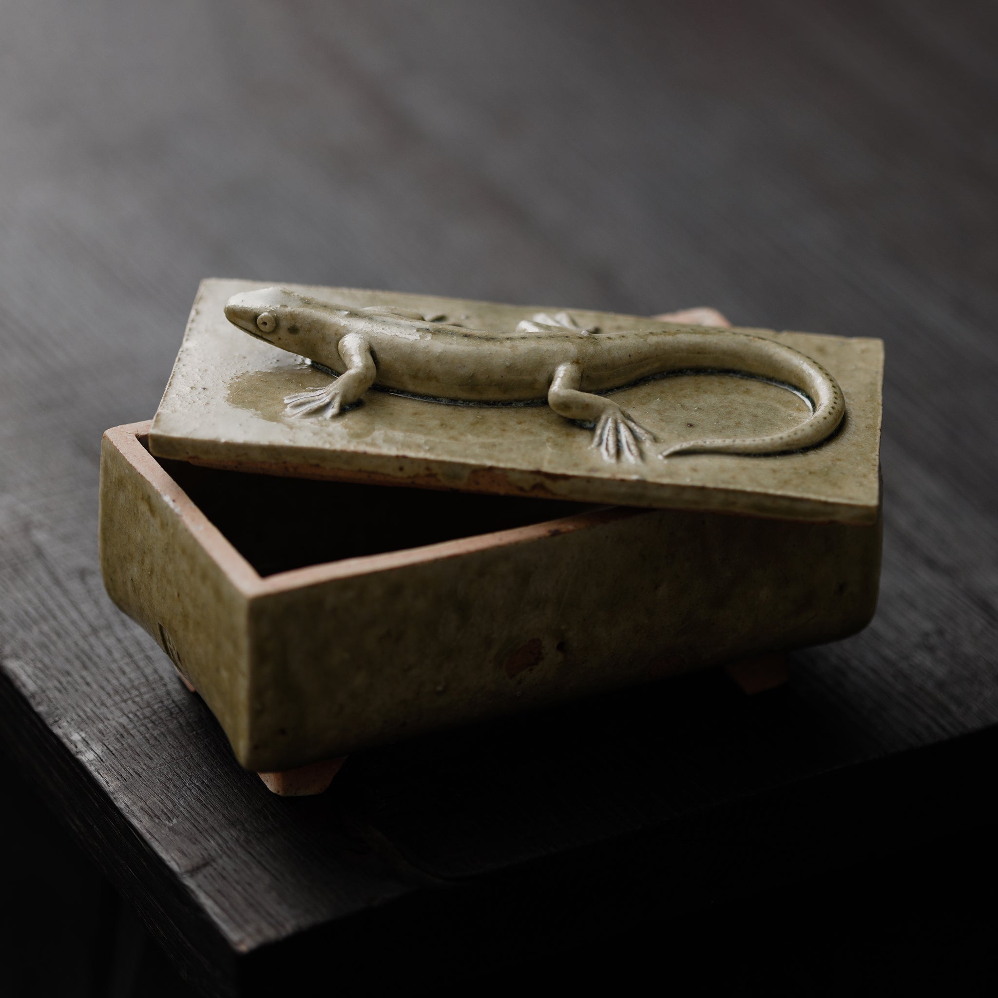 Box With A Lizard No.158/25 - huba.studio
