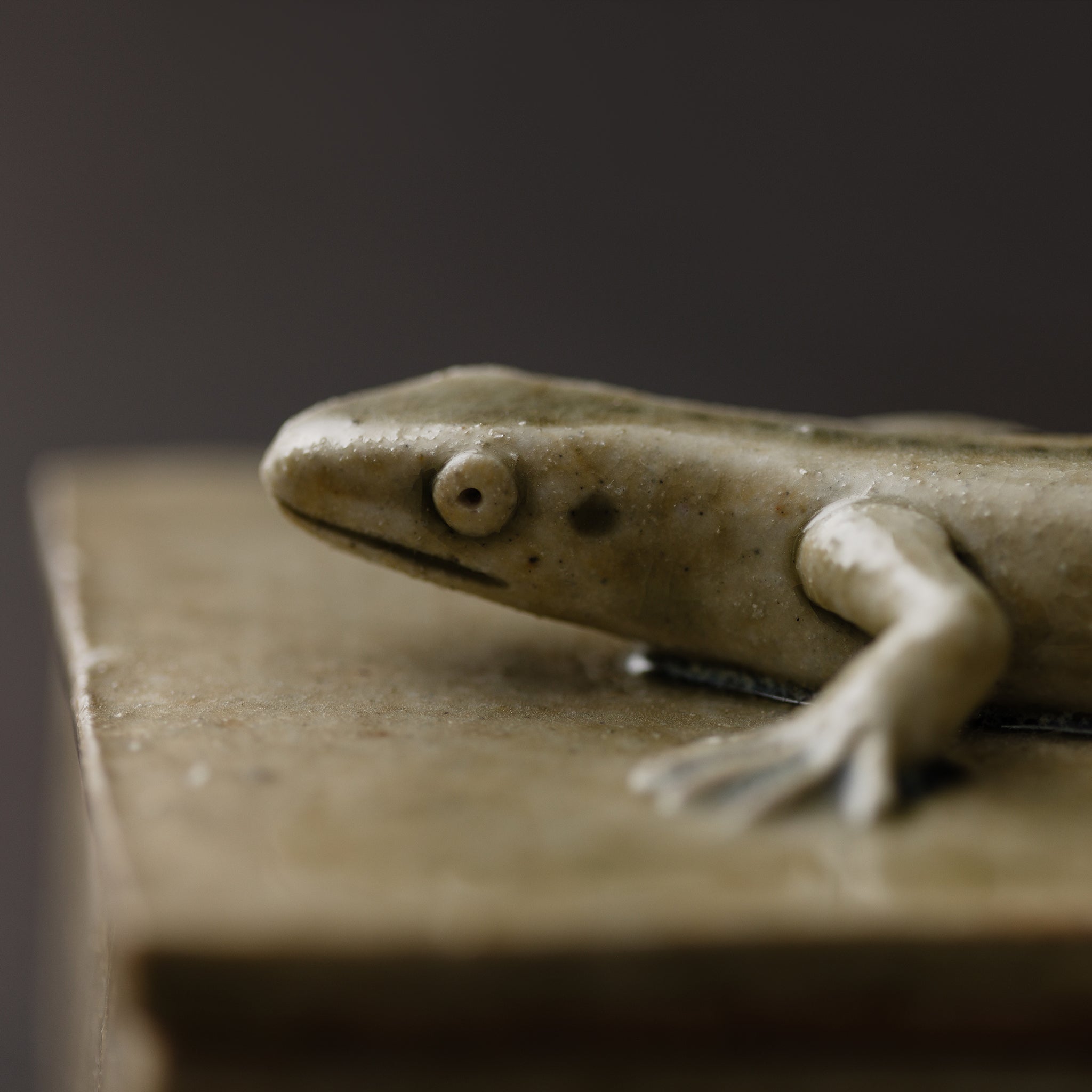 Box With A Lizard No.158/25 - huba.studio