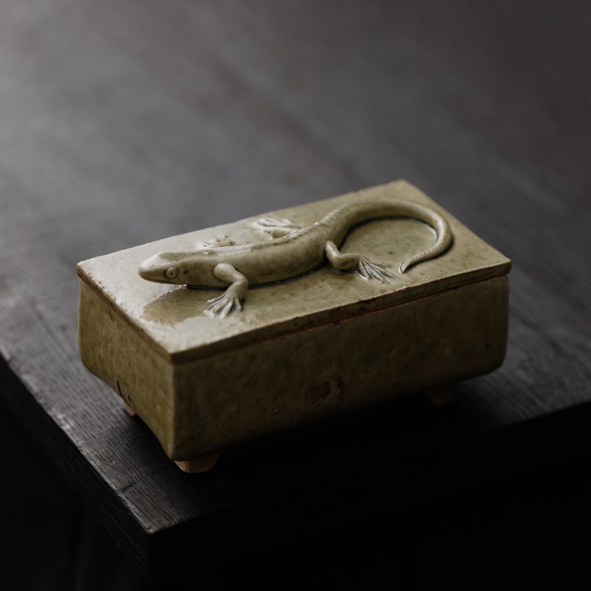 Box With A Lizard No.158/25 - huba.studio
