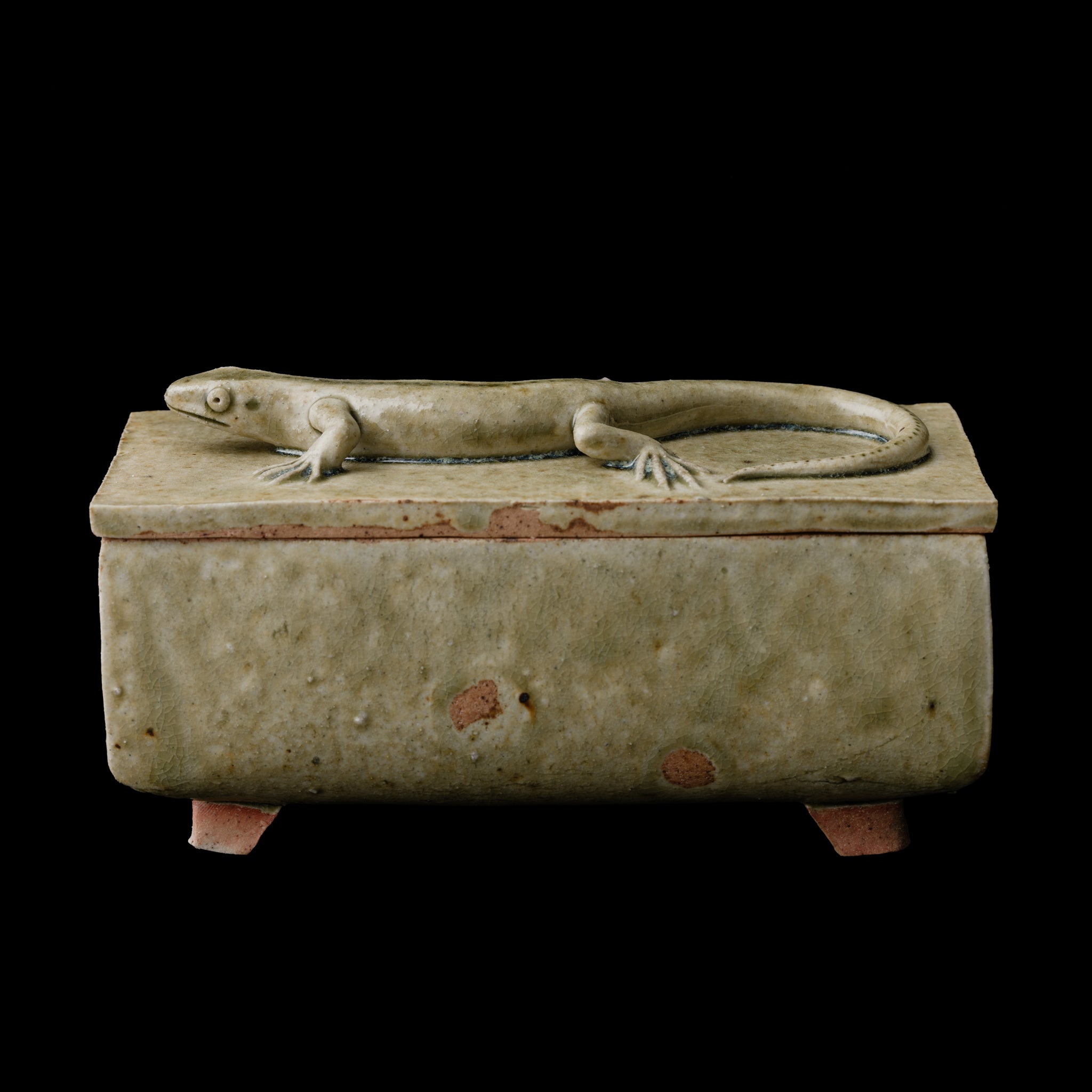 Box With A Lizard No.158/25 - huba.studio