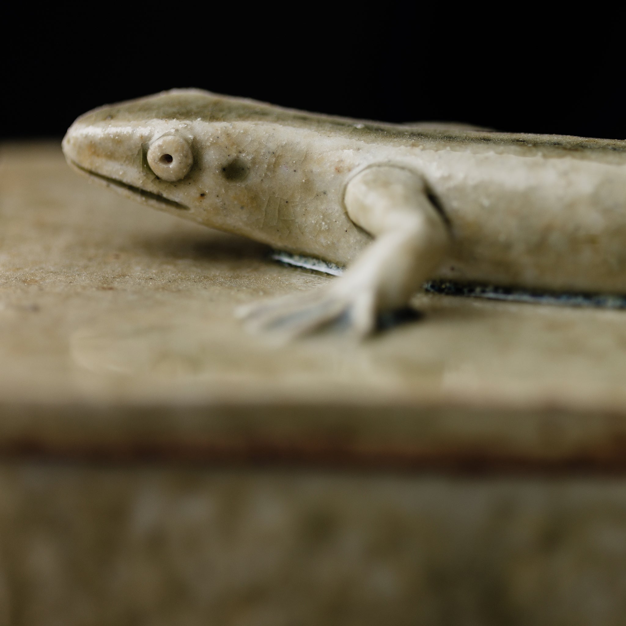 Box With A Lizard No.158/25 - huba.studio