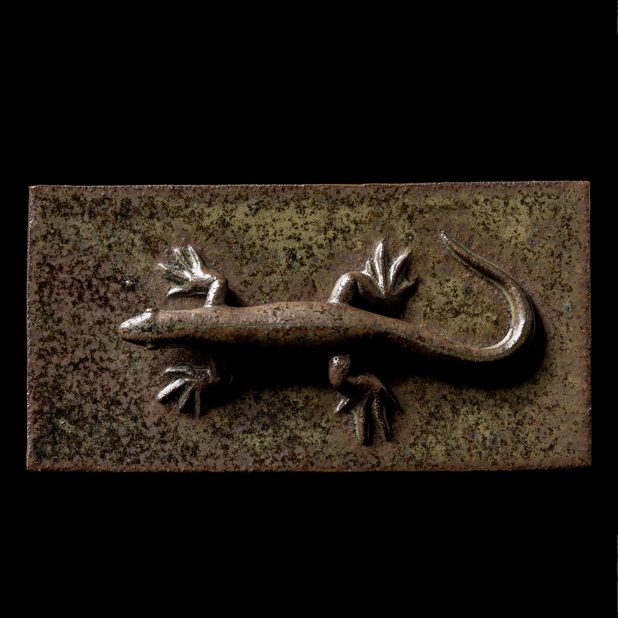 Box With a Lizard No.21/24 - huba.studio