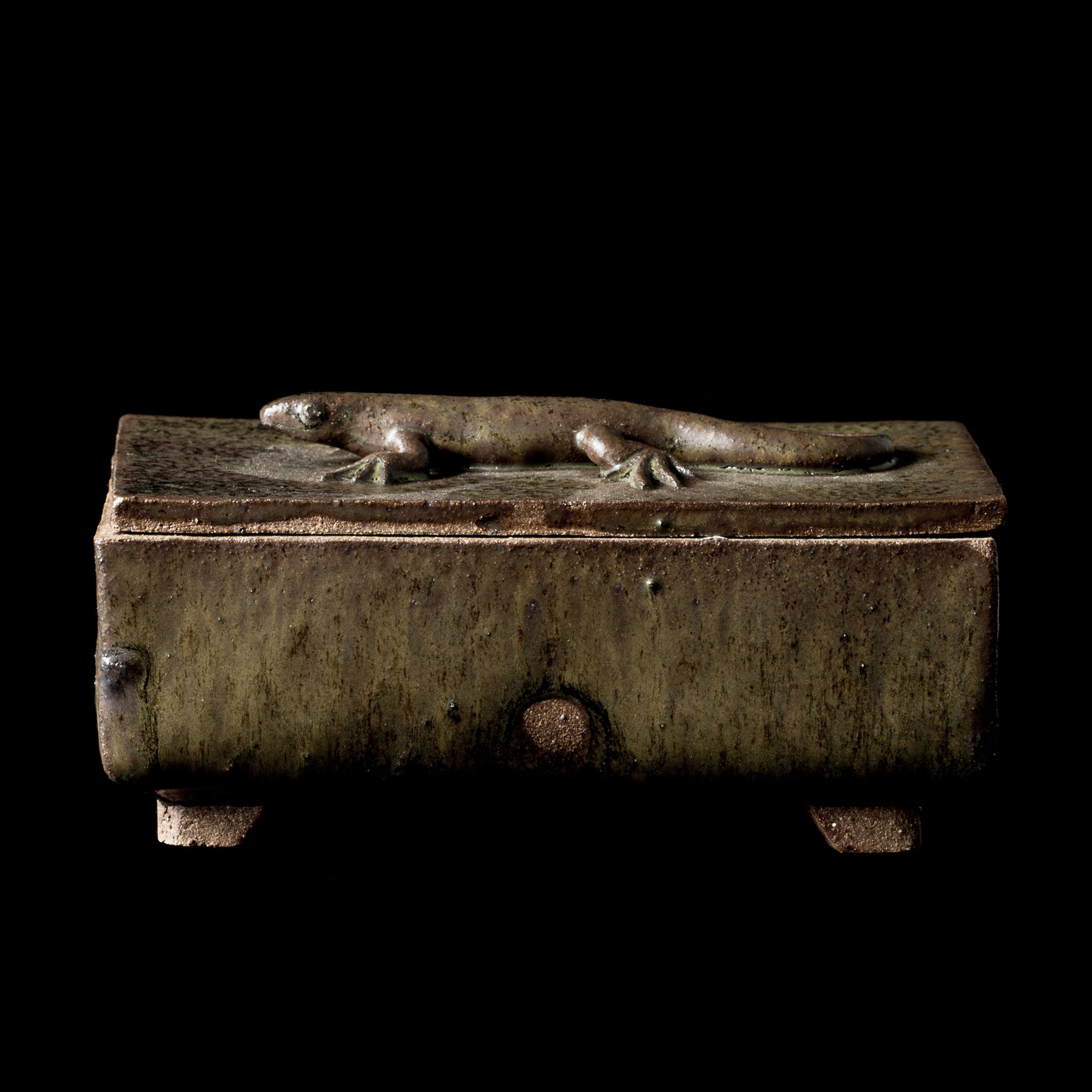 Box With a Lizard No.21/24 - huba.studio