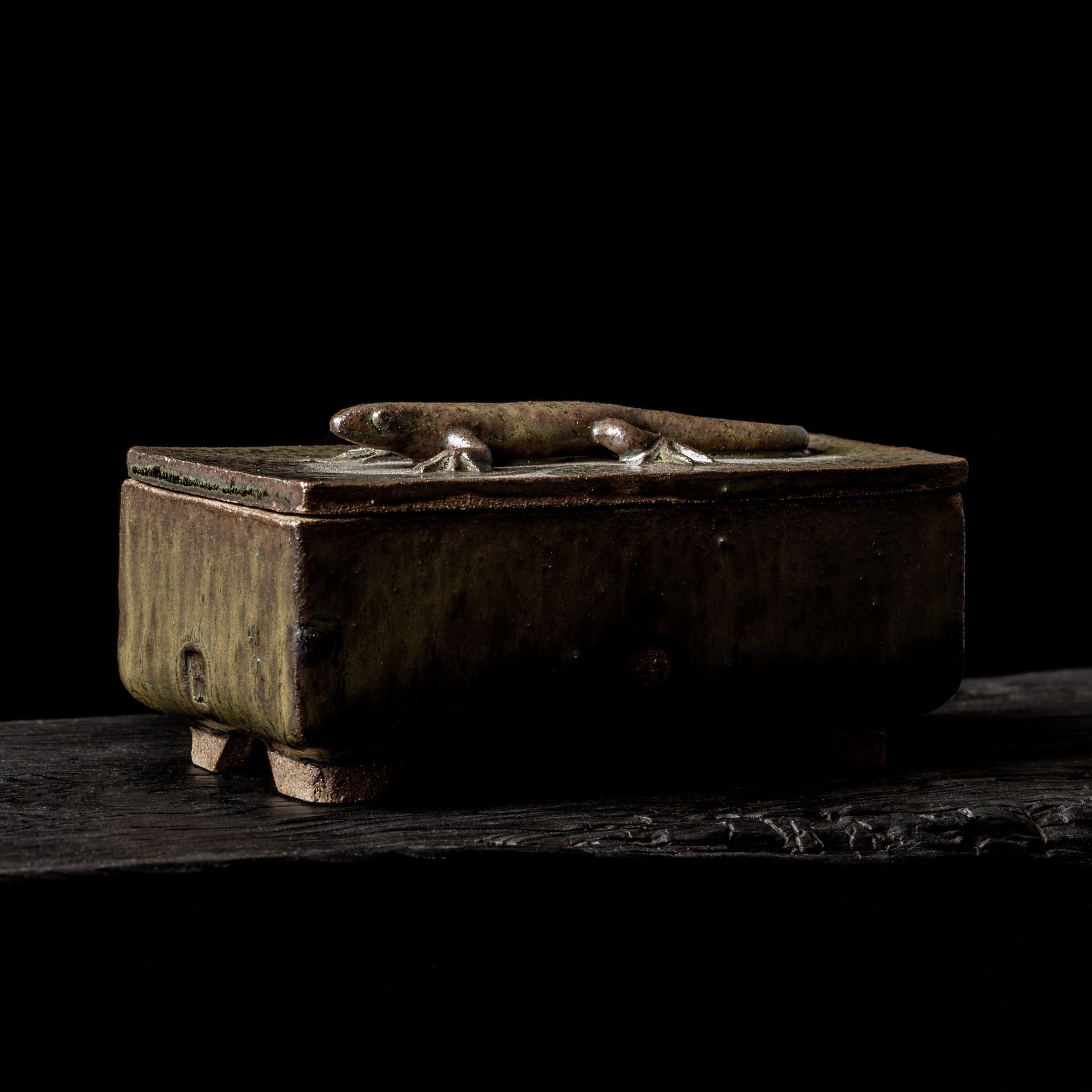 Box With a Lizard No.21/24 - huba.studio