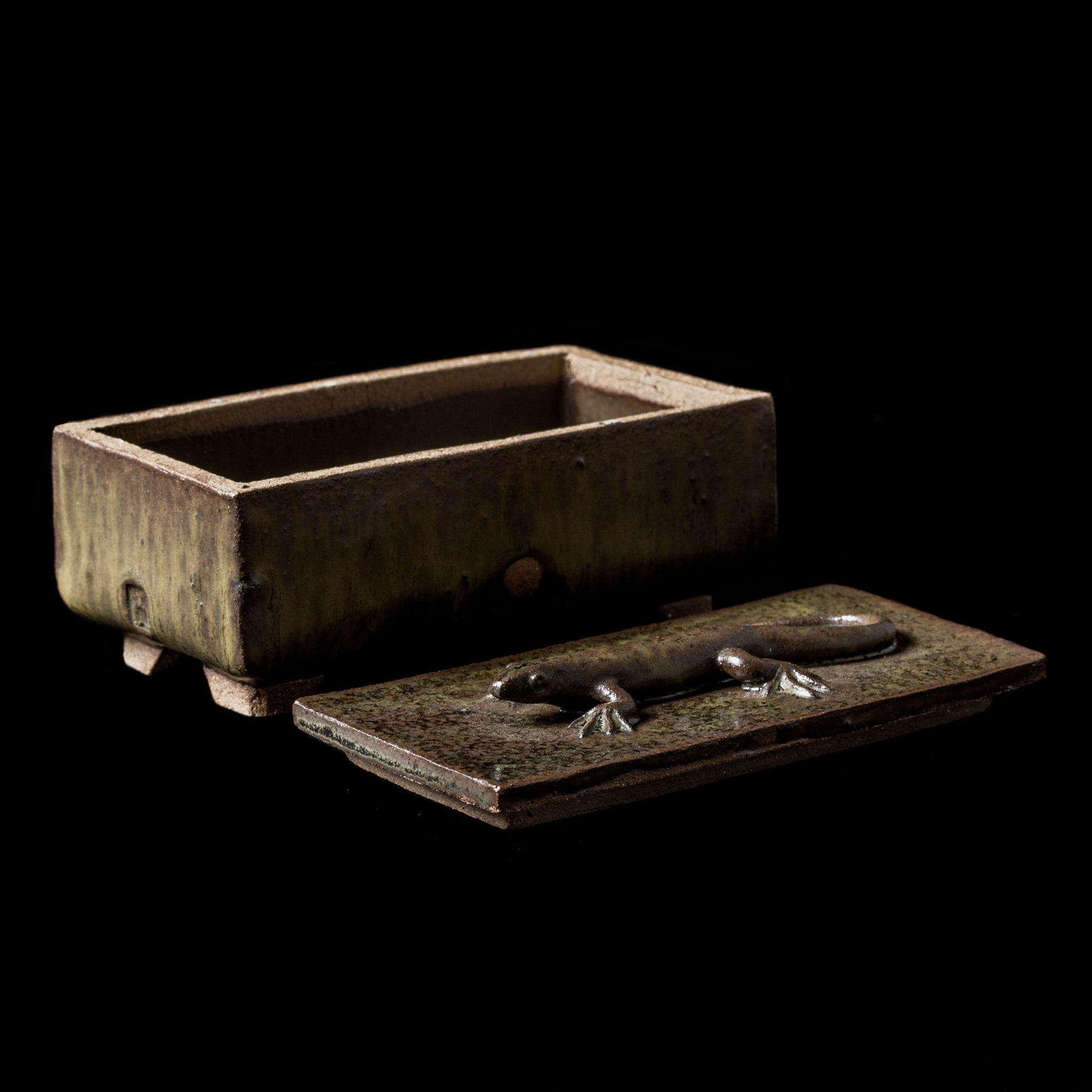 Box With a Lizard No.21/24 - huba.studio