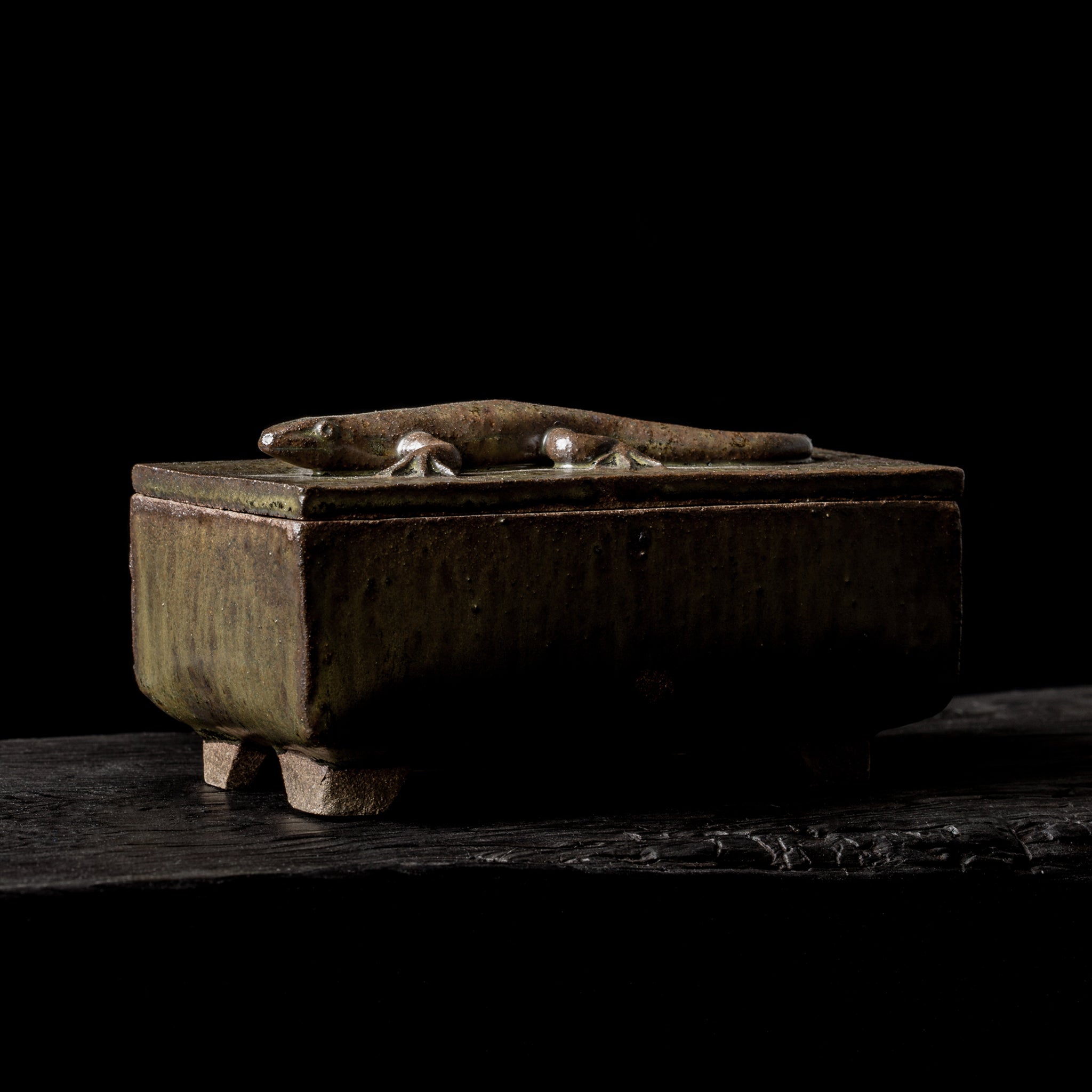Box With a Lizard No.22/24 - huba.studio