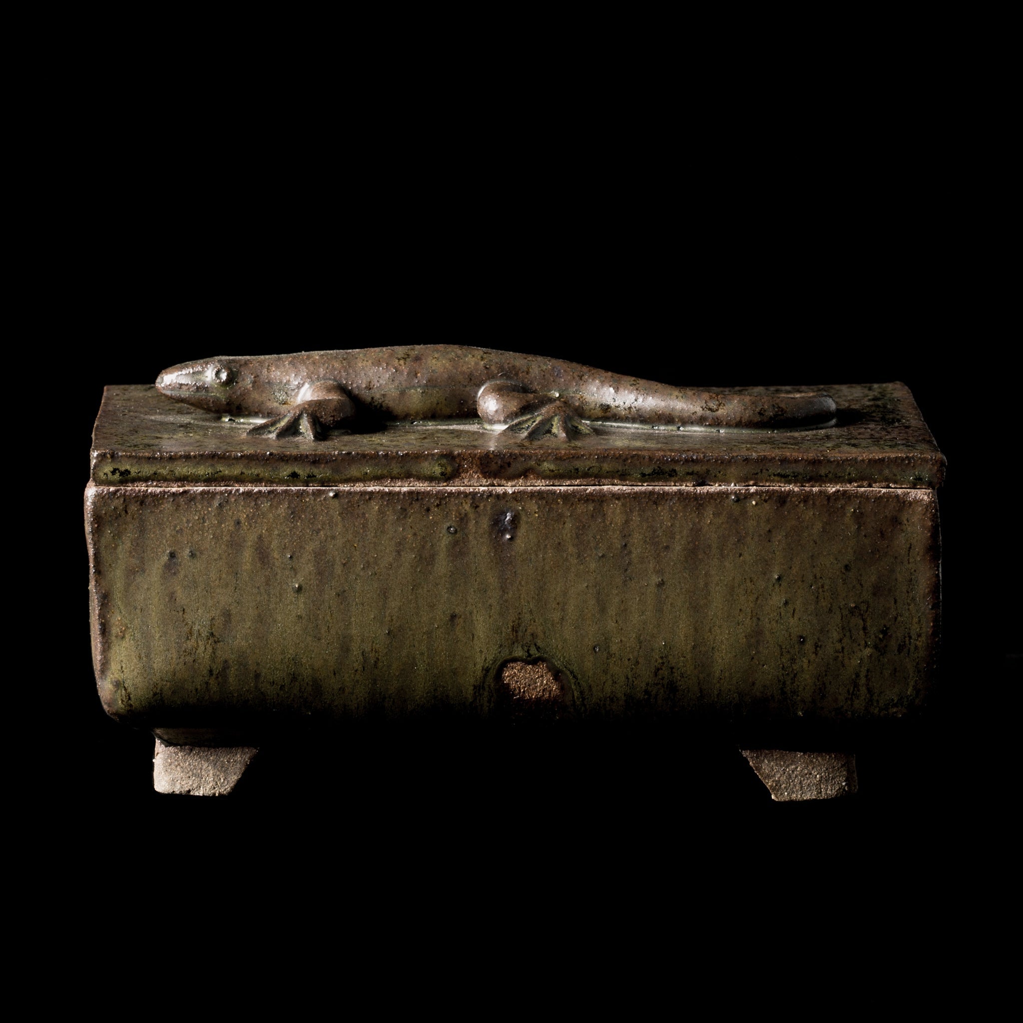 Box With a Lizard No.22/24 - huba.studio