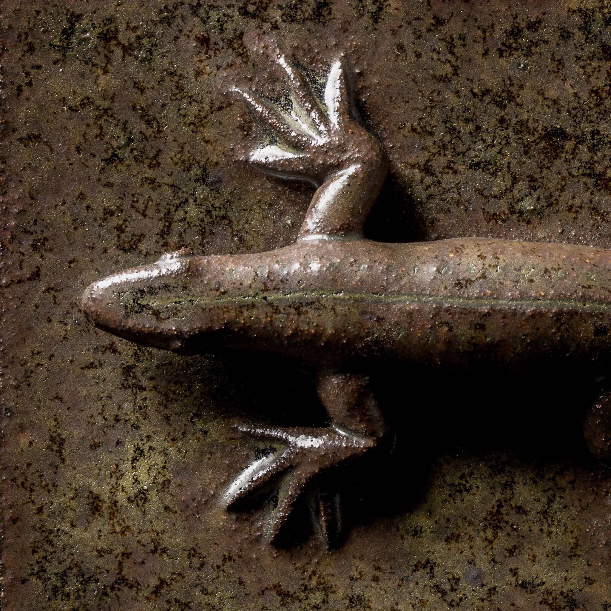 Box With a Lizard No.22/24 - huba.studio