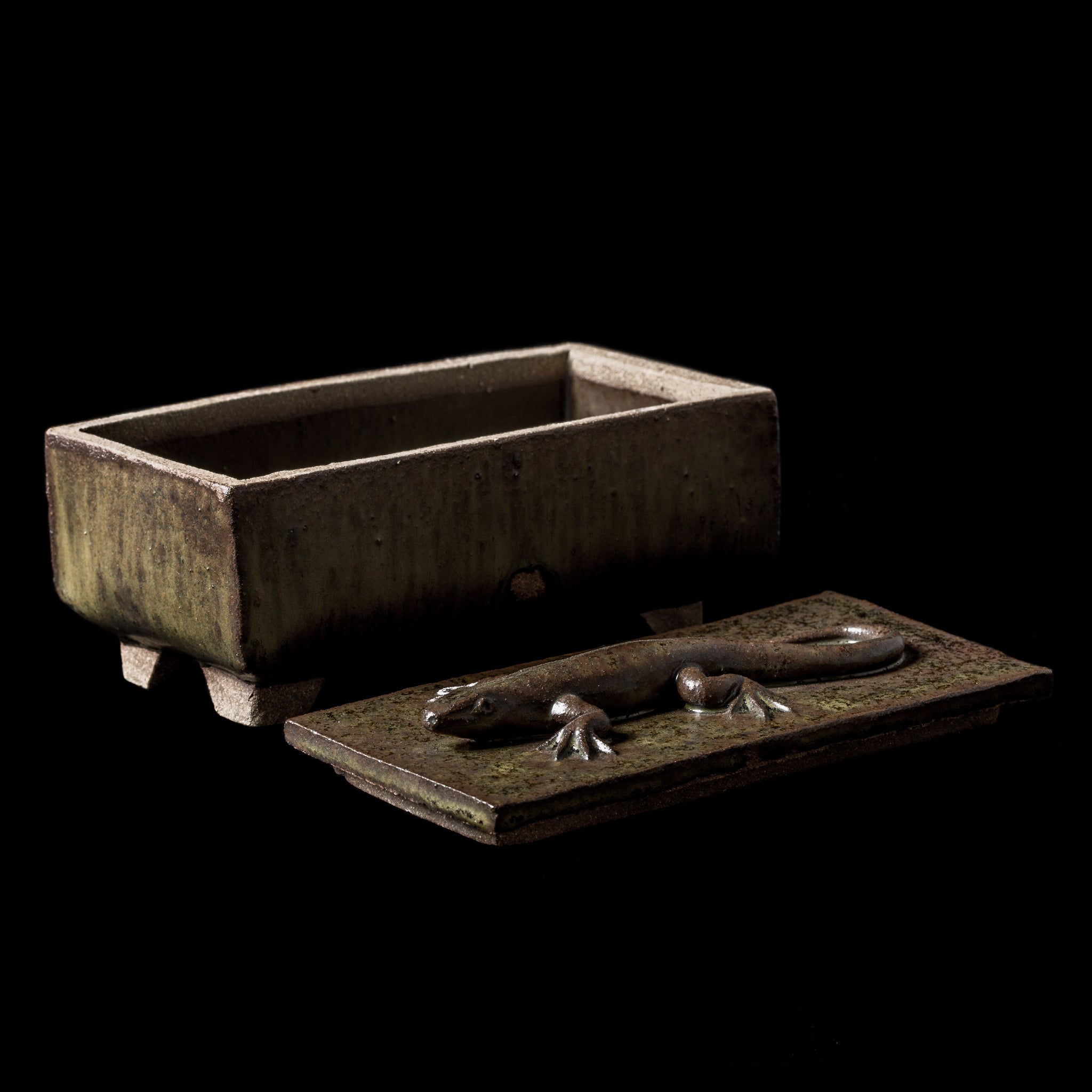 Box With a Lizard No.22/24 - huba.studio