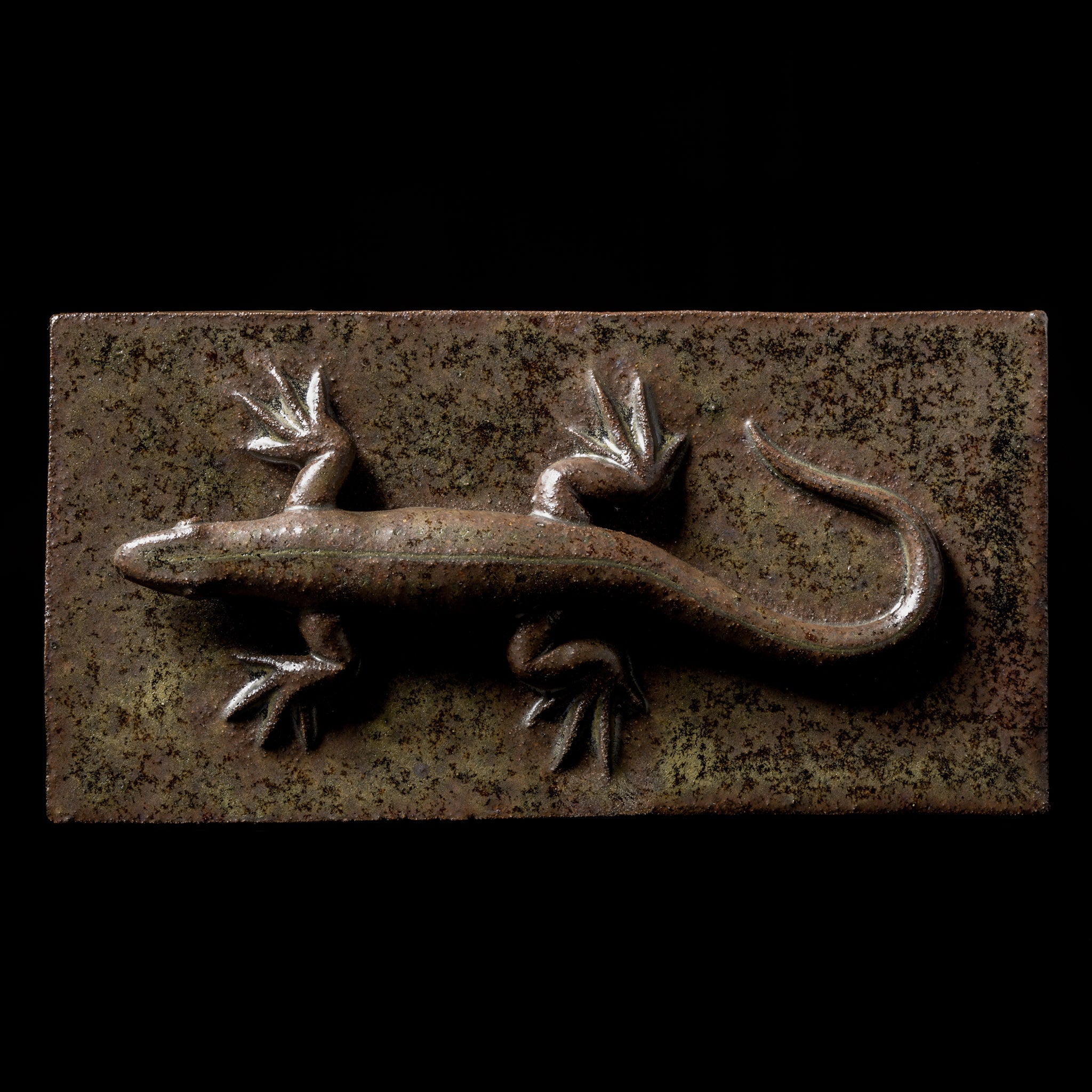 Box With a Lizard No.22/24 - huba.studio