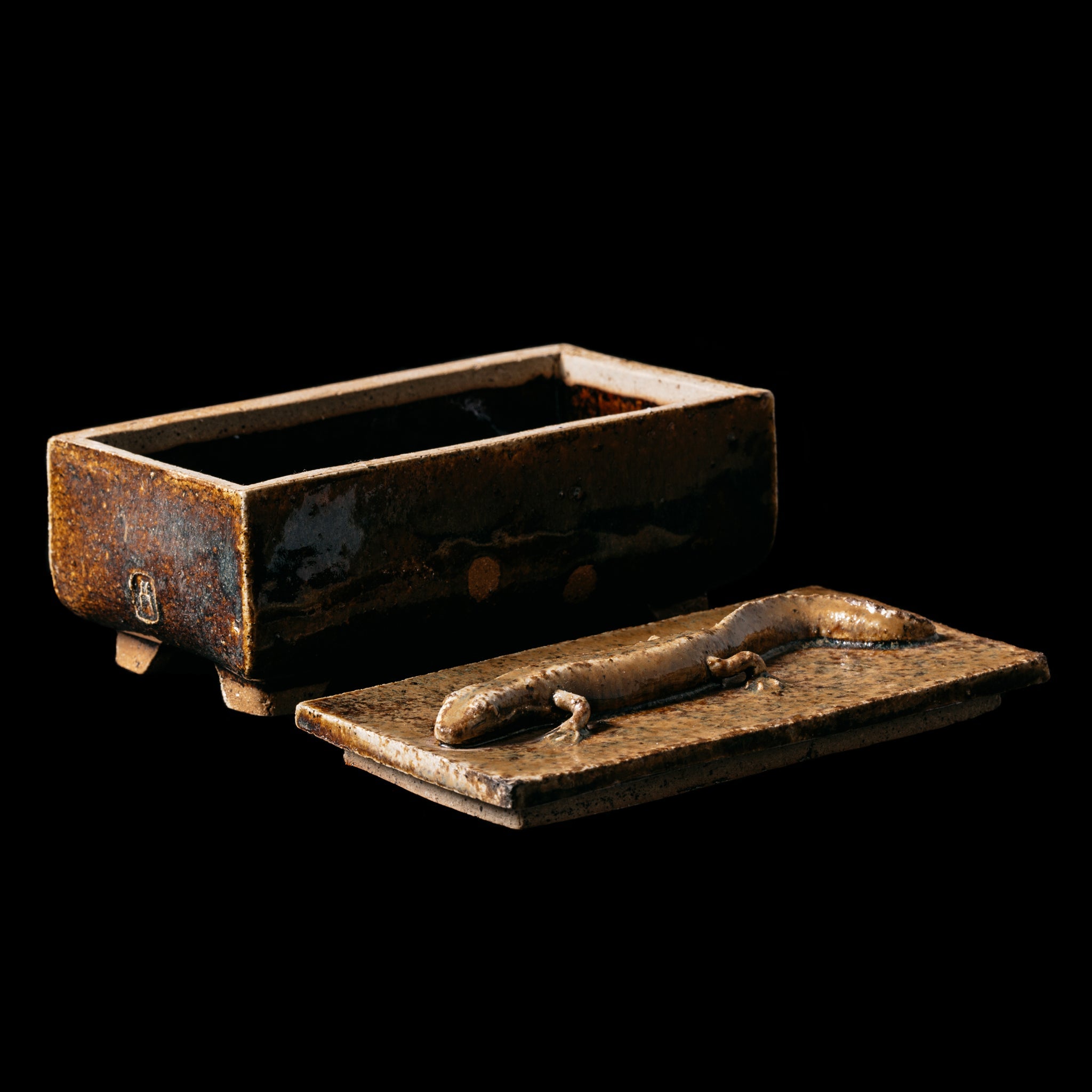 Box With a Newt No.23/24 - huba.studio