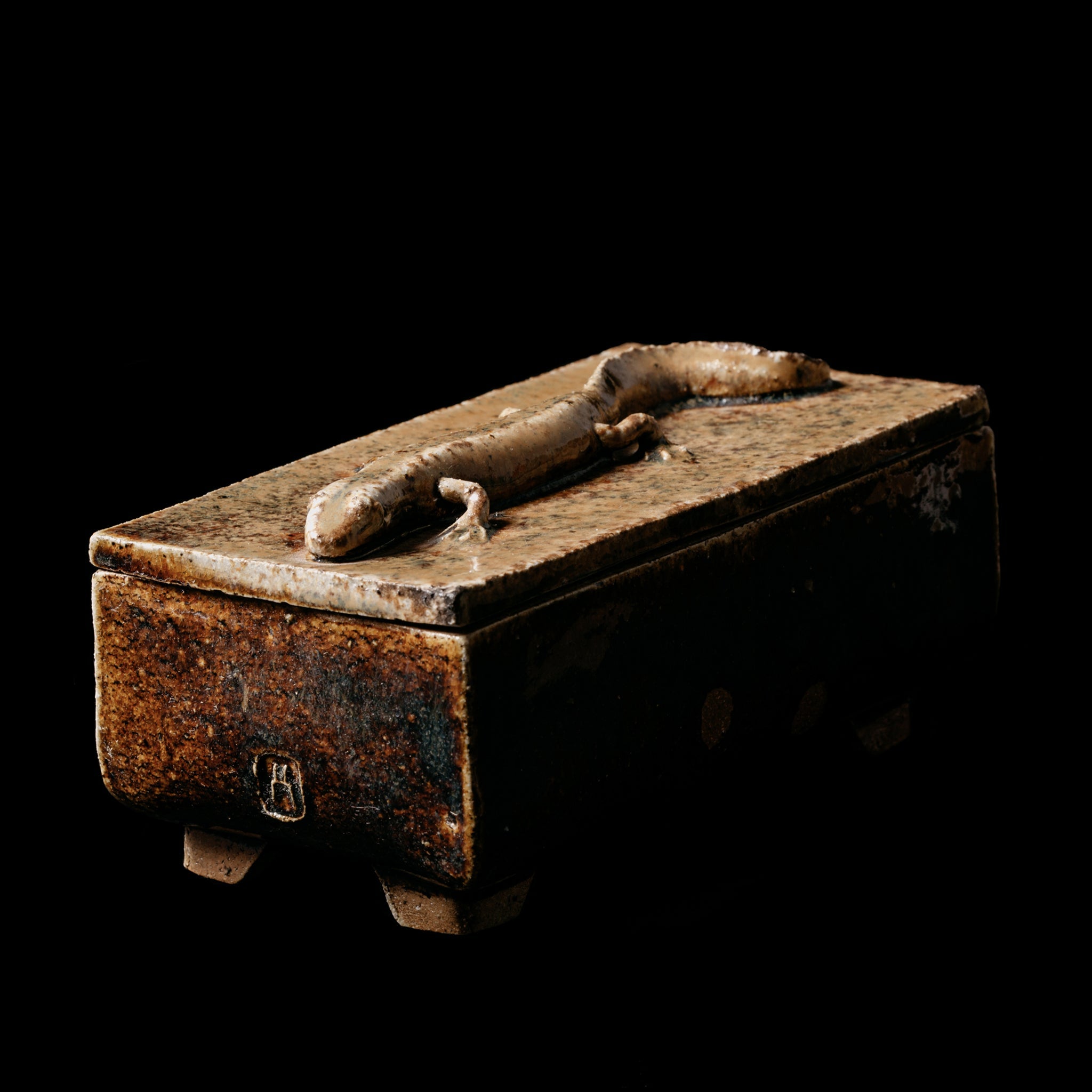 Box With a Newt No.23/24 - huba.studio