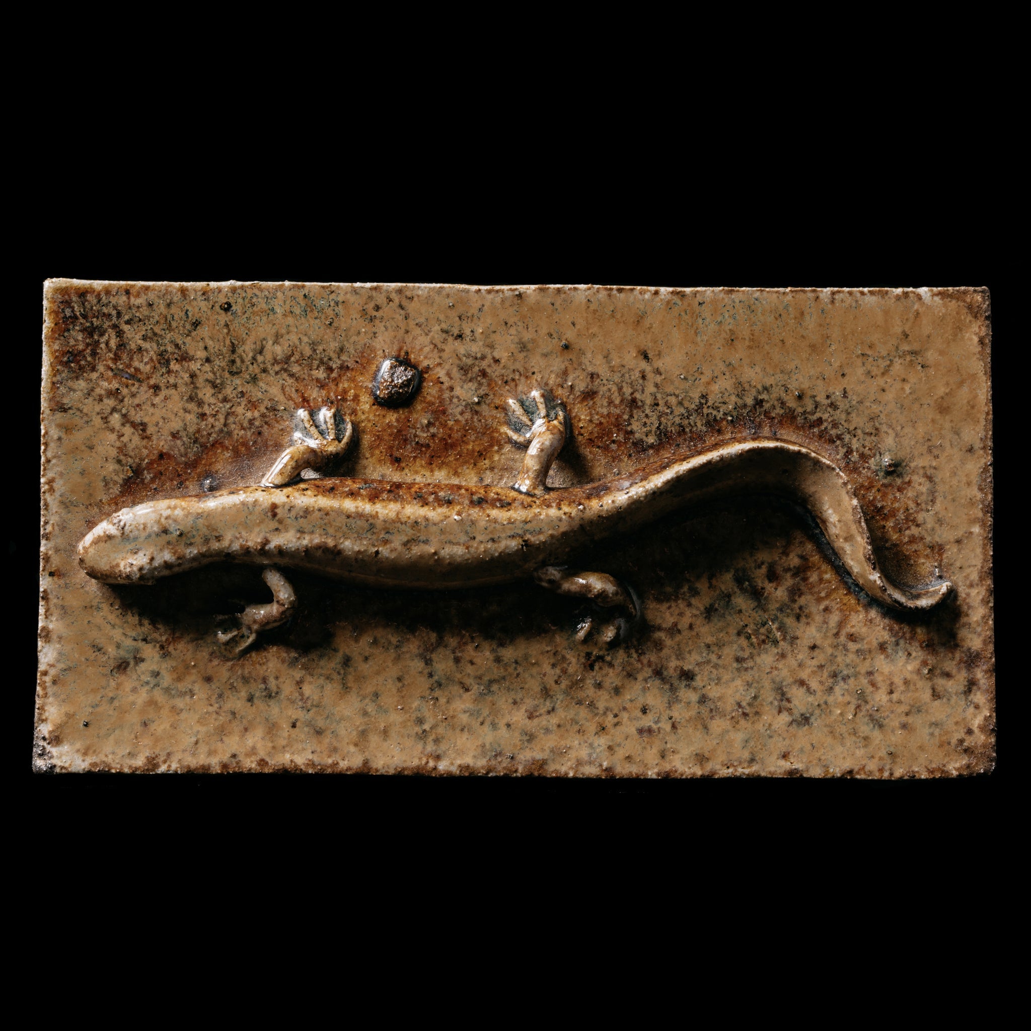 Box With a Newt No.23/24 - huba.studio