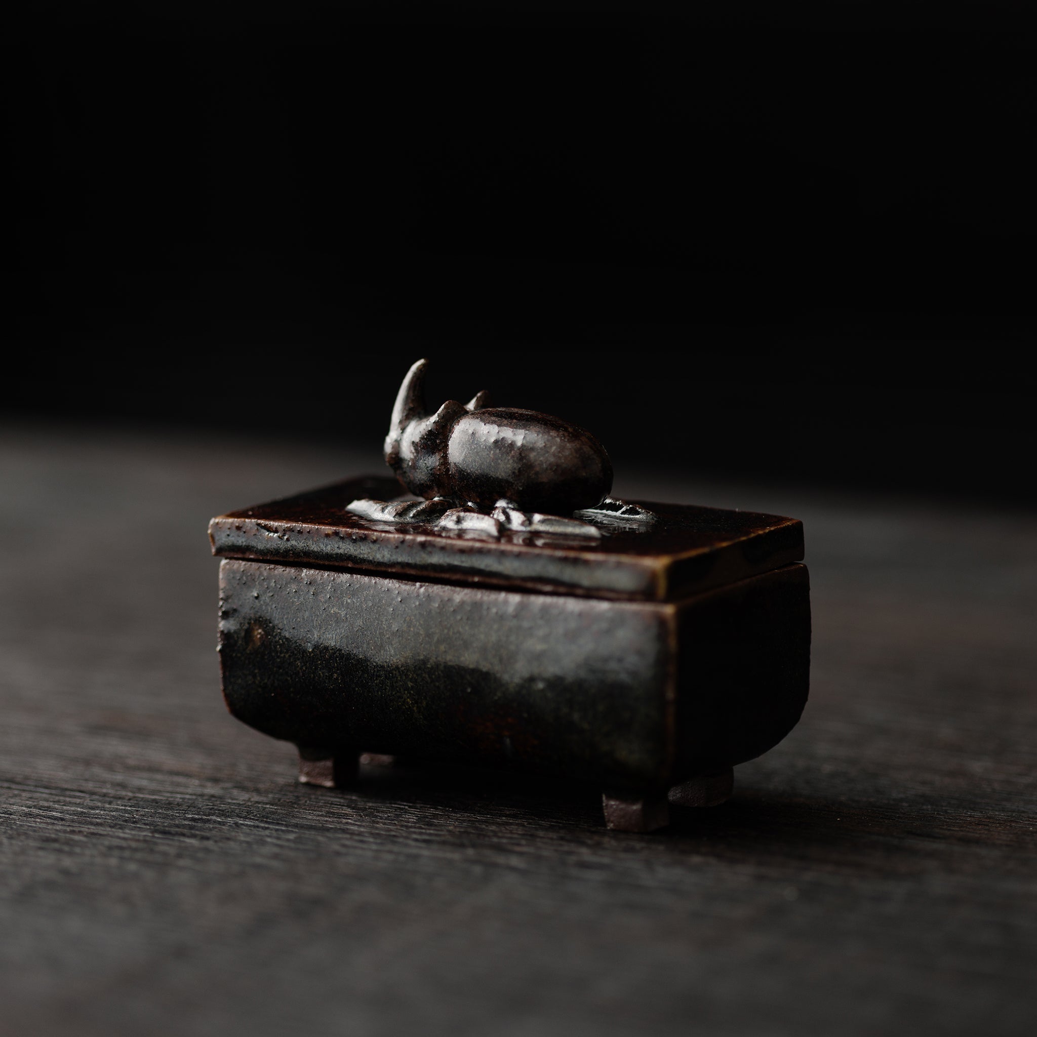 Box With A Rhinoceros Beatle No.154/25 - huba.studio