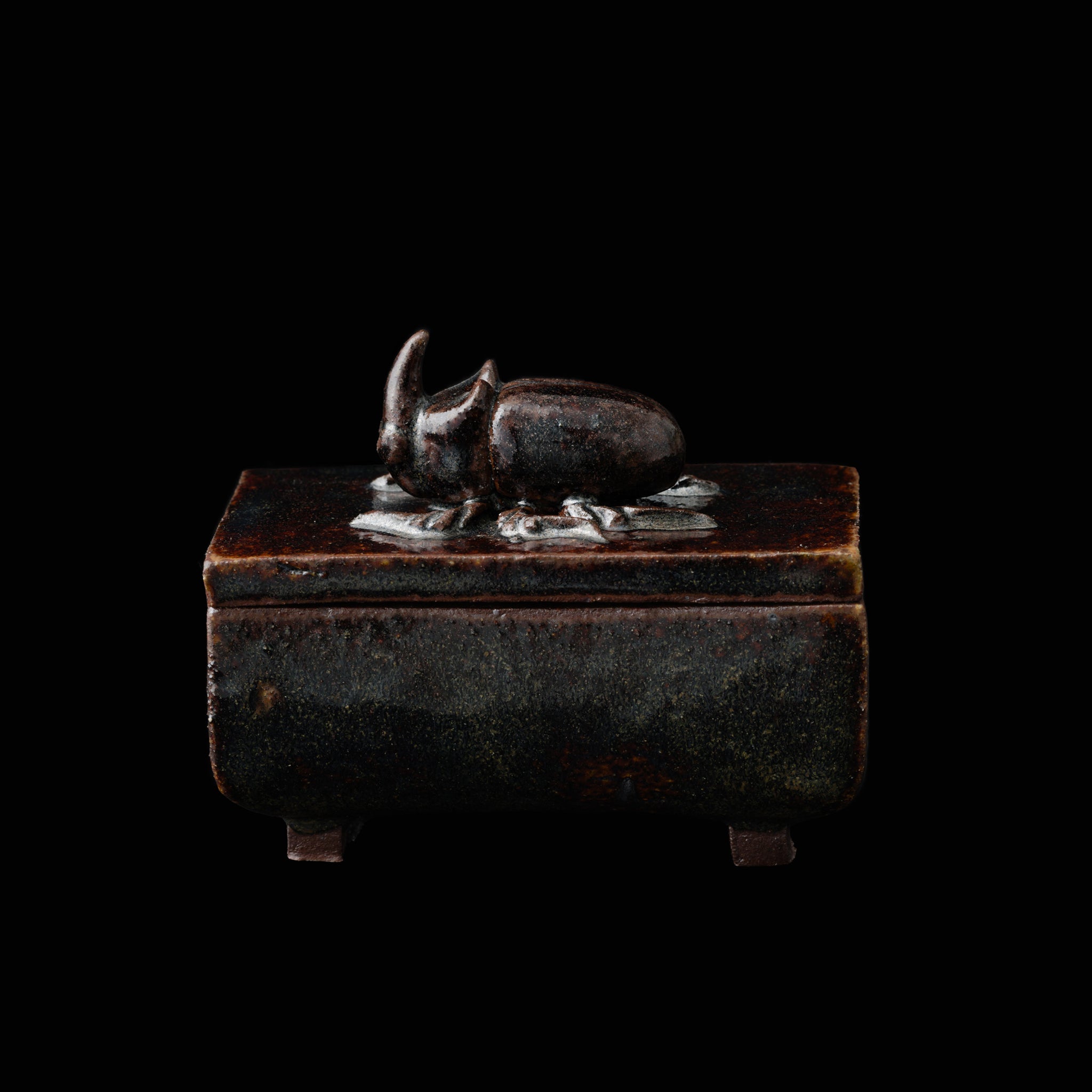 Box With A Rhinoceros Beatle No.154/25 - huba.studio