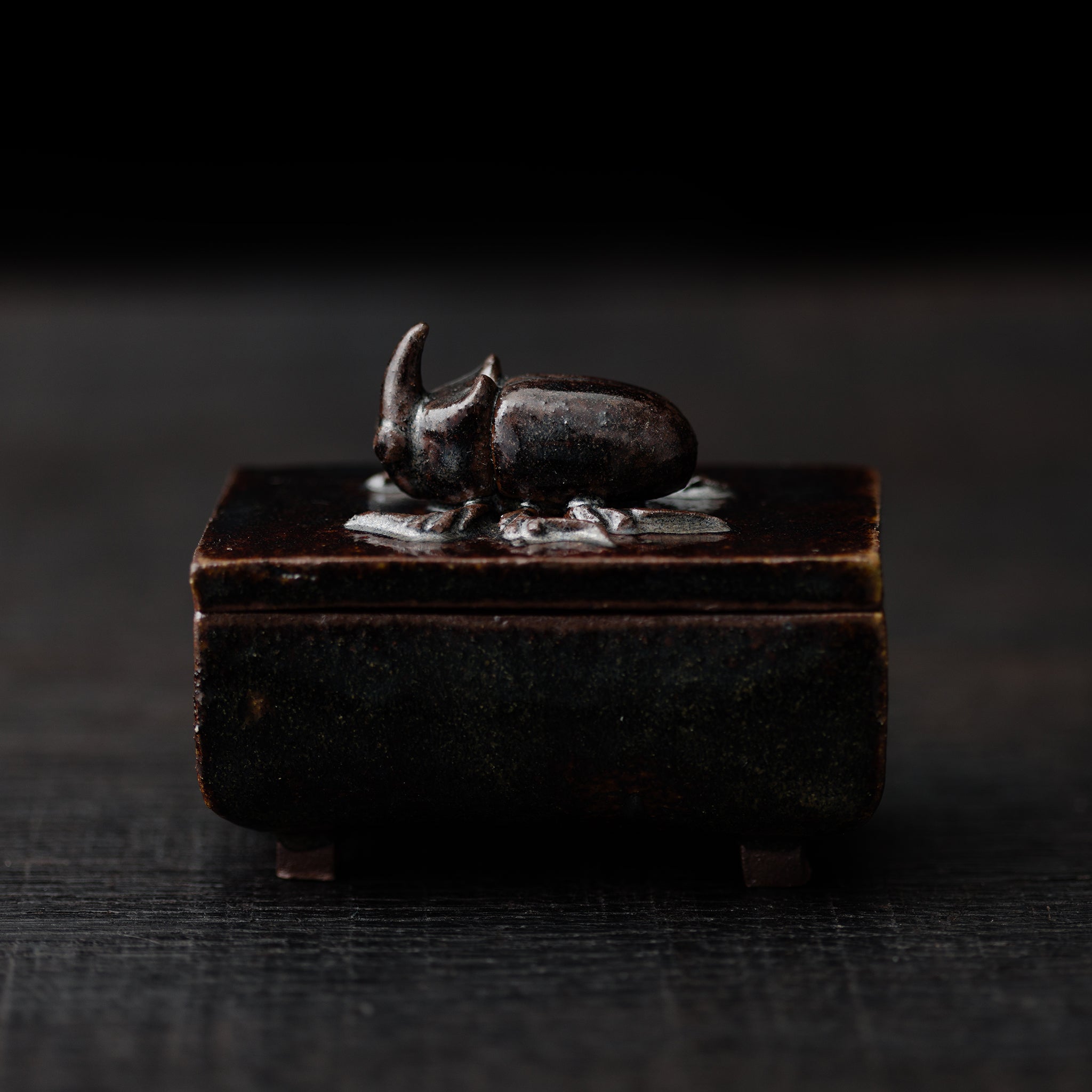 Box With A Rhinoceros Beatle No.154/25 - huba.studio