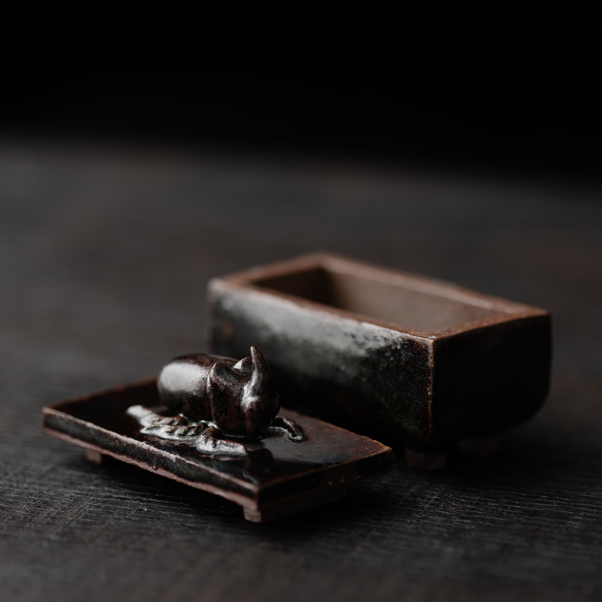 Box With A Rhinoceros Beatle No.154/25 - huba.studio