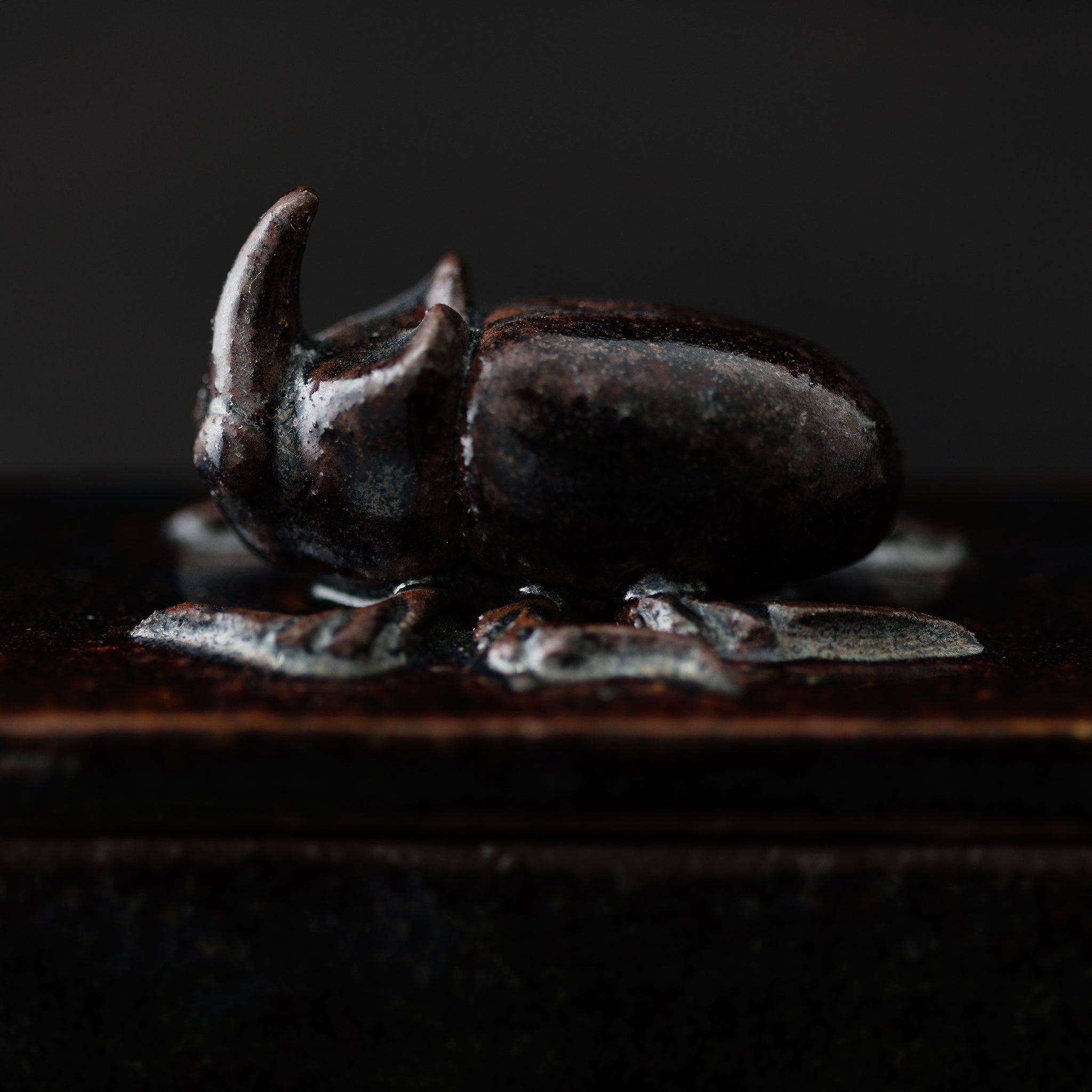 Box With A Rhinoceros Beatle No.154/25 - huba.studio