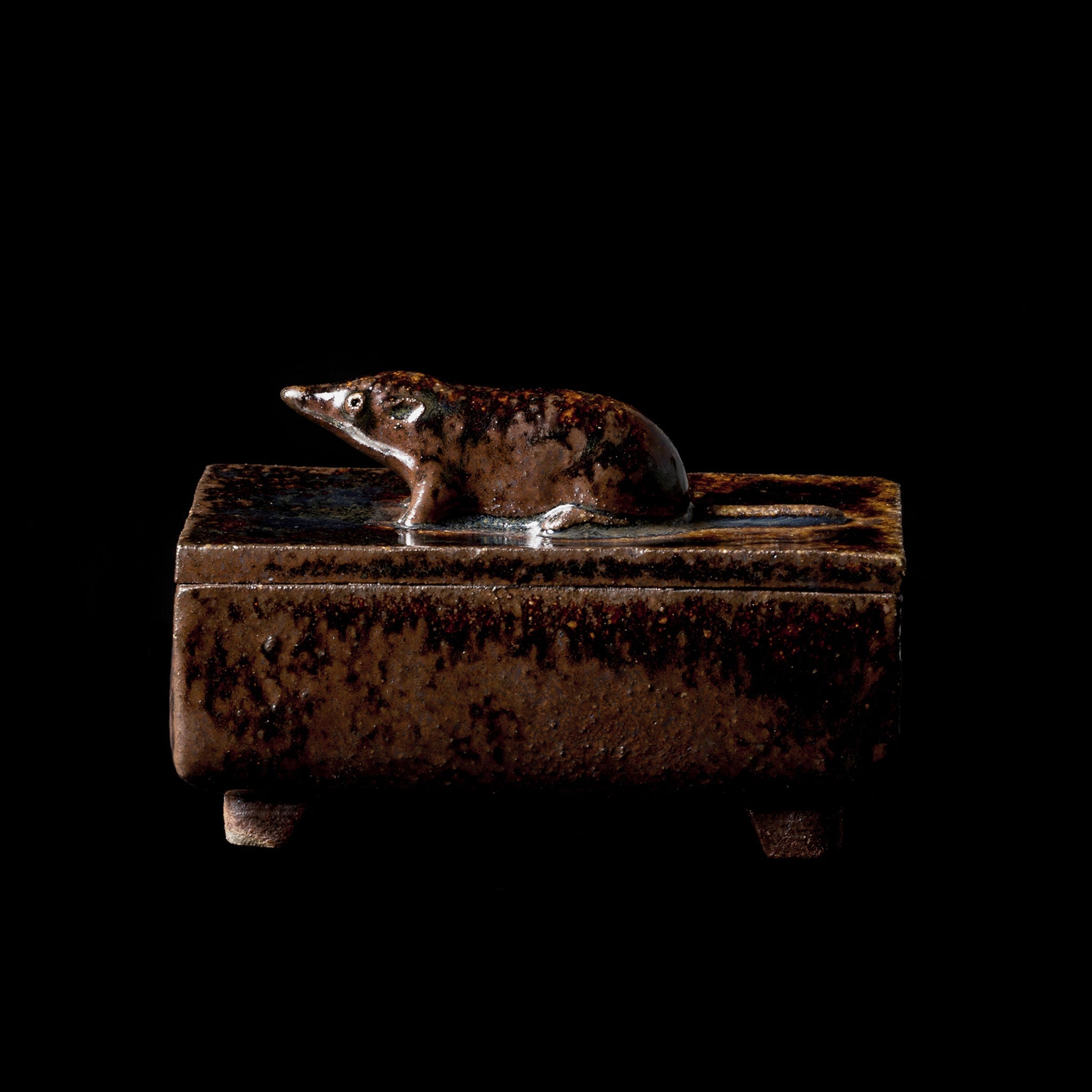 Box With a Shrew No.13/24 - huba.studio