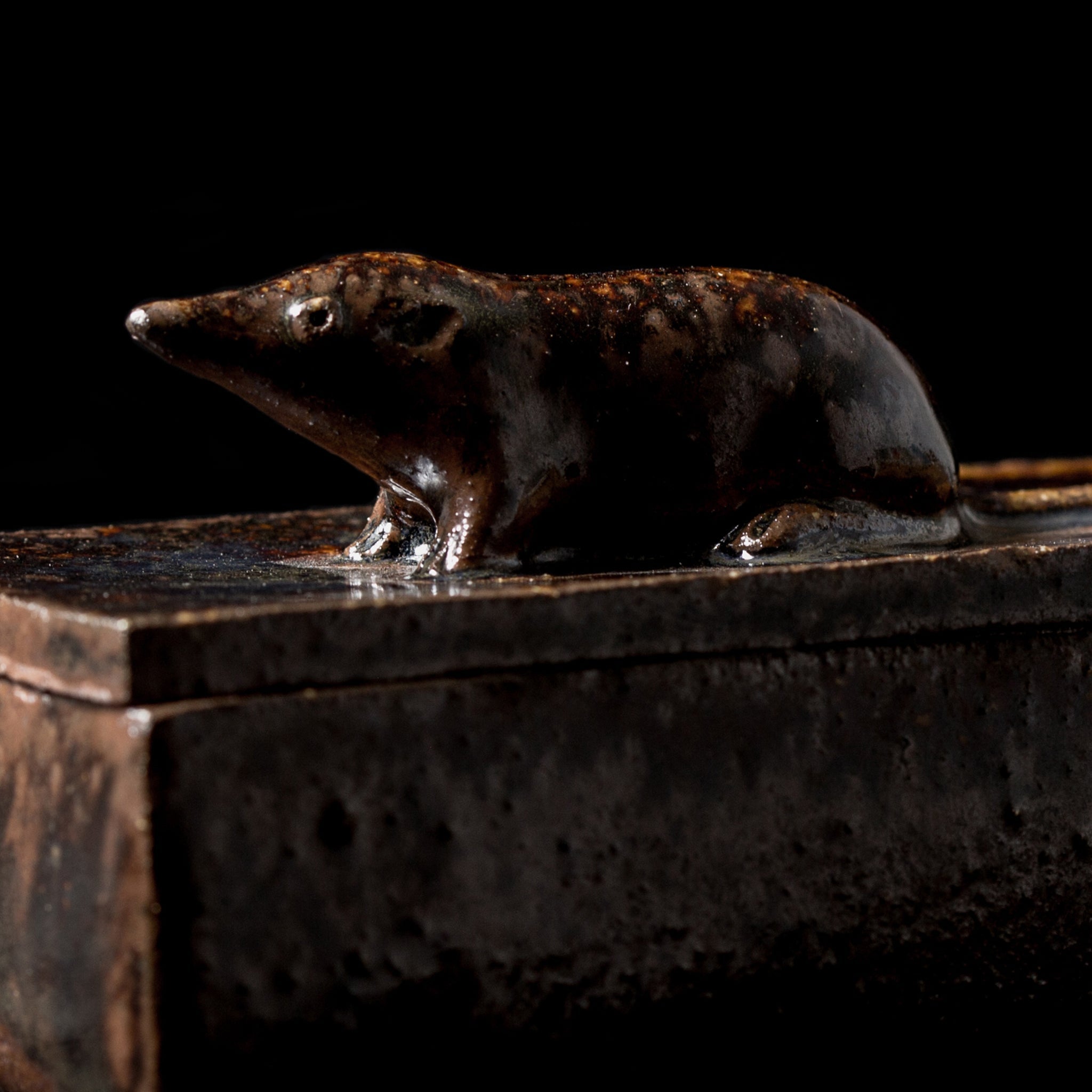 Box With a Shrew No.13/24 - huba.studio