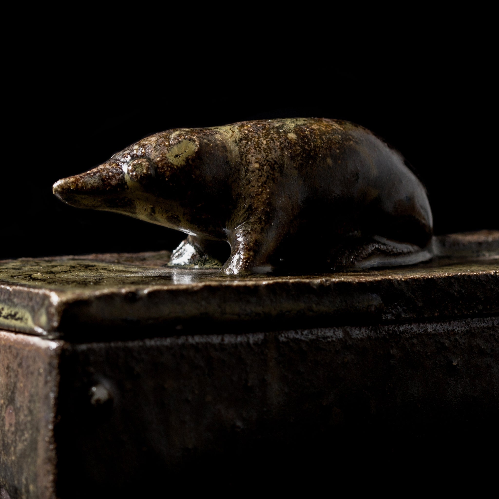 Box With a Shrew No.16/24 - huba.studio