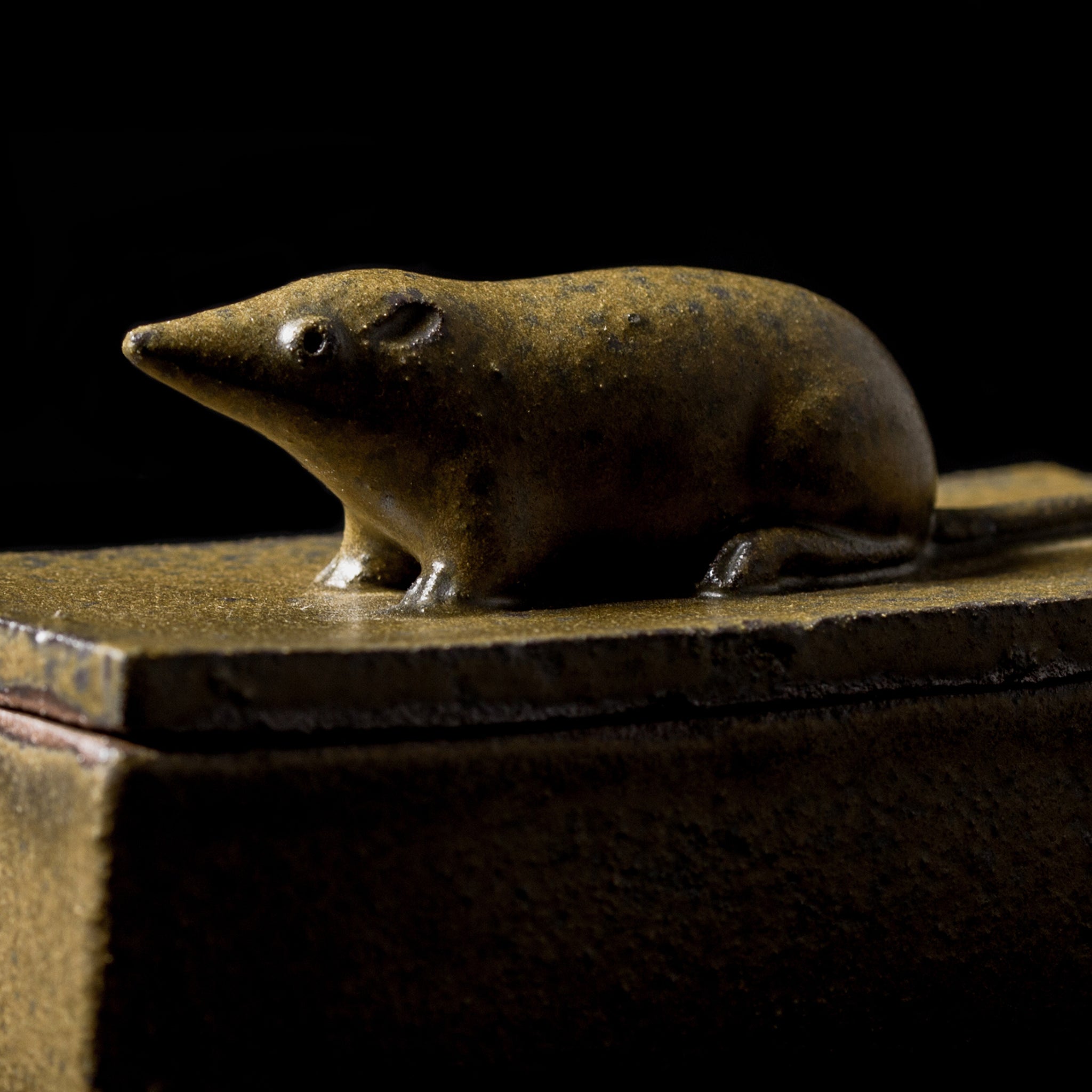Box With a Shrew No.17/24 - huba.studio