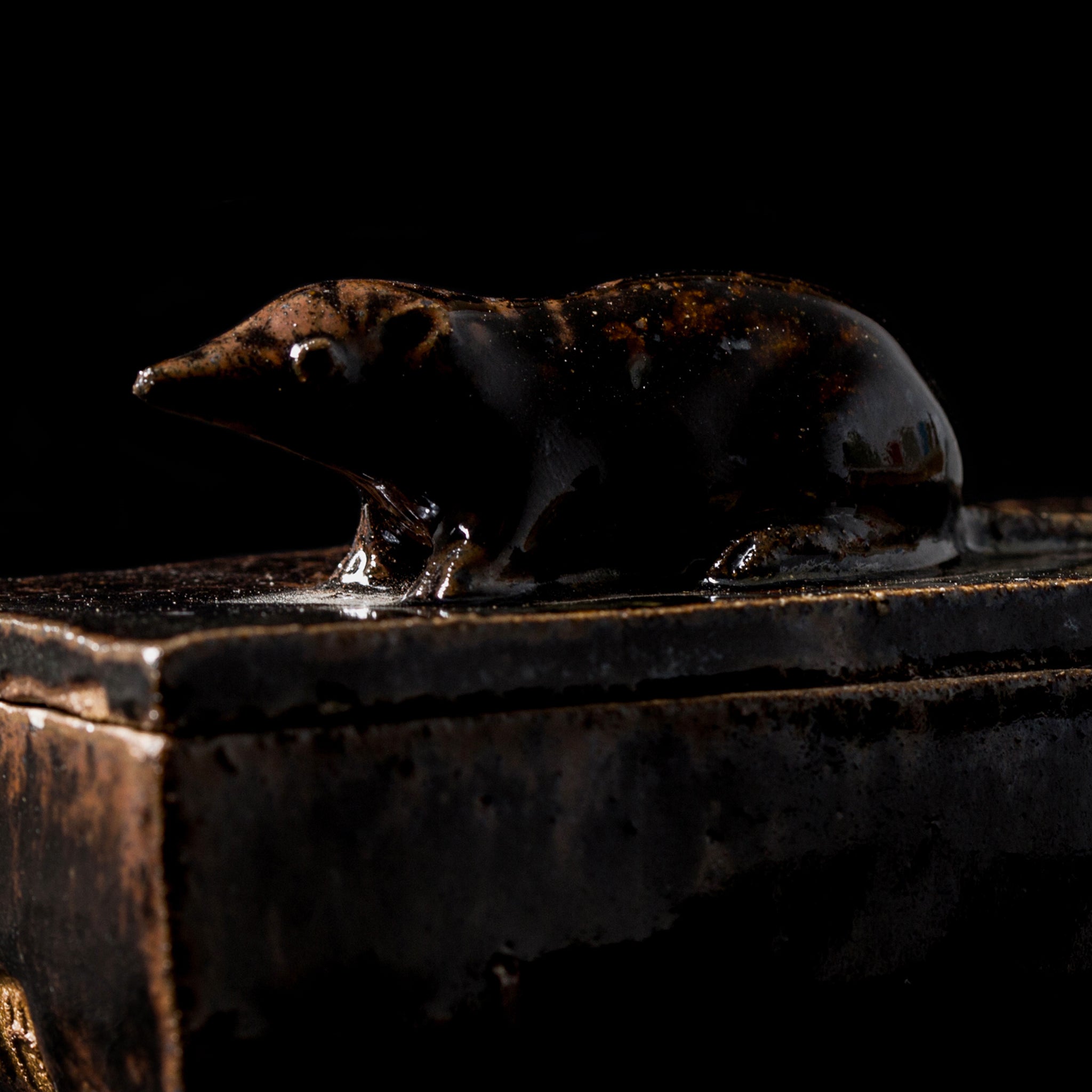 Box With a Shrew No.18/24 - huba.studio