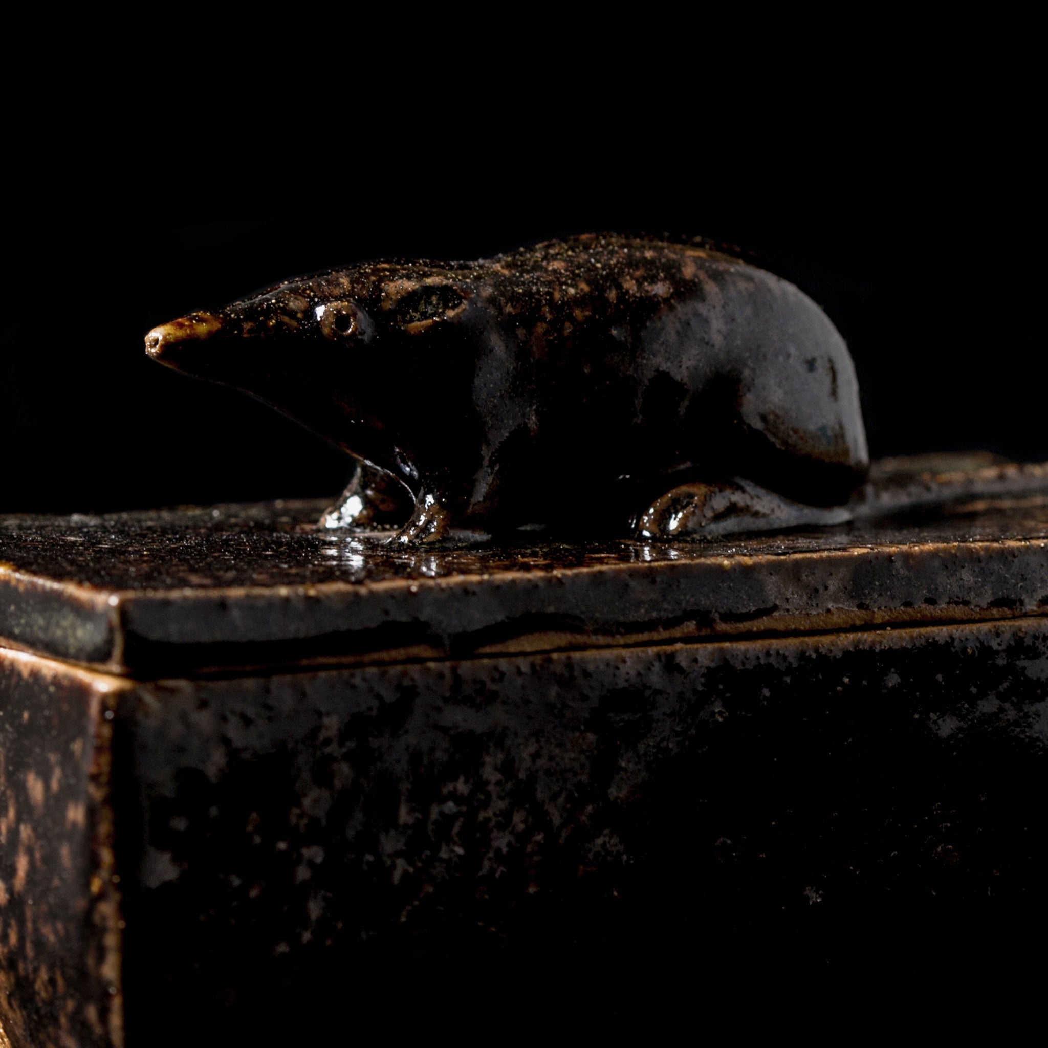 Box With a Shrew No.19/24 - huba.studio