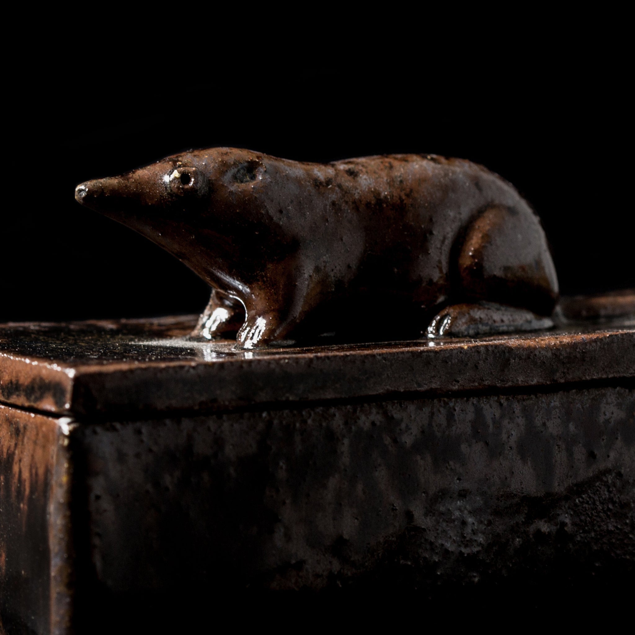 Box With a Shrew No.20/24 - huba.studio