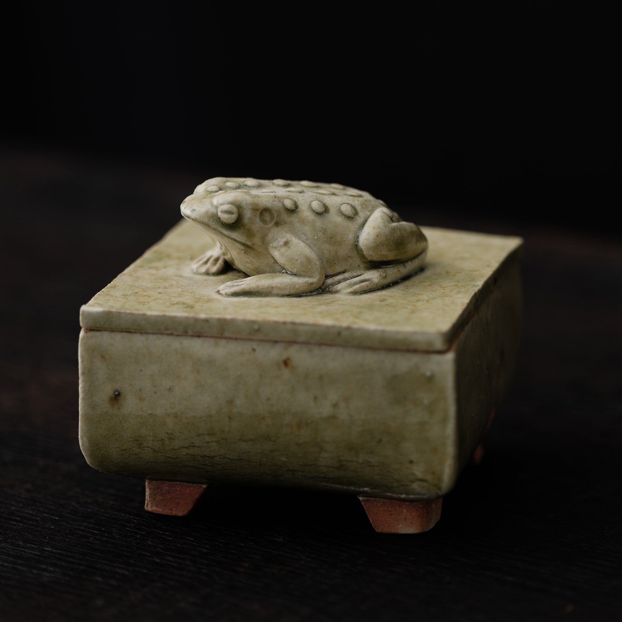 Box With A Toad No.155/25 - huba.studio