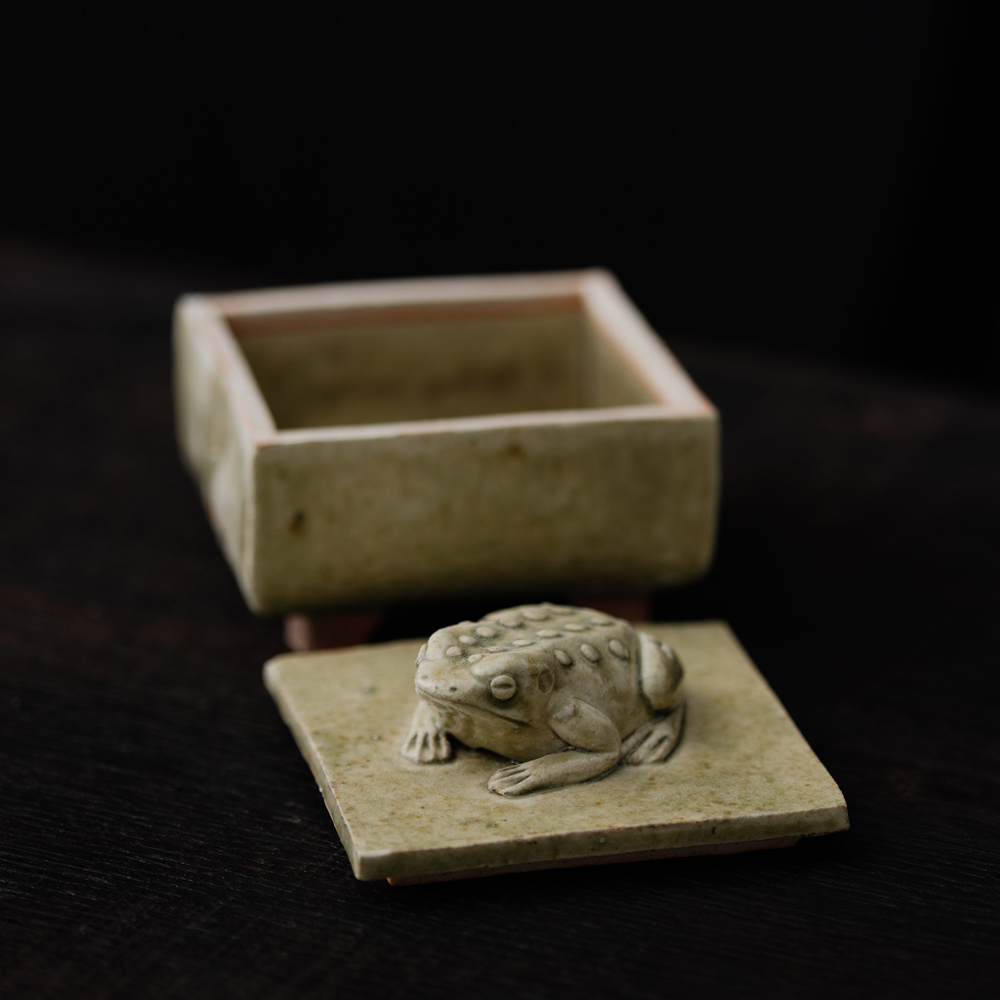 Box With A Toad No.155/25 - huba.studio