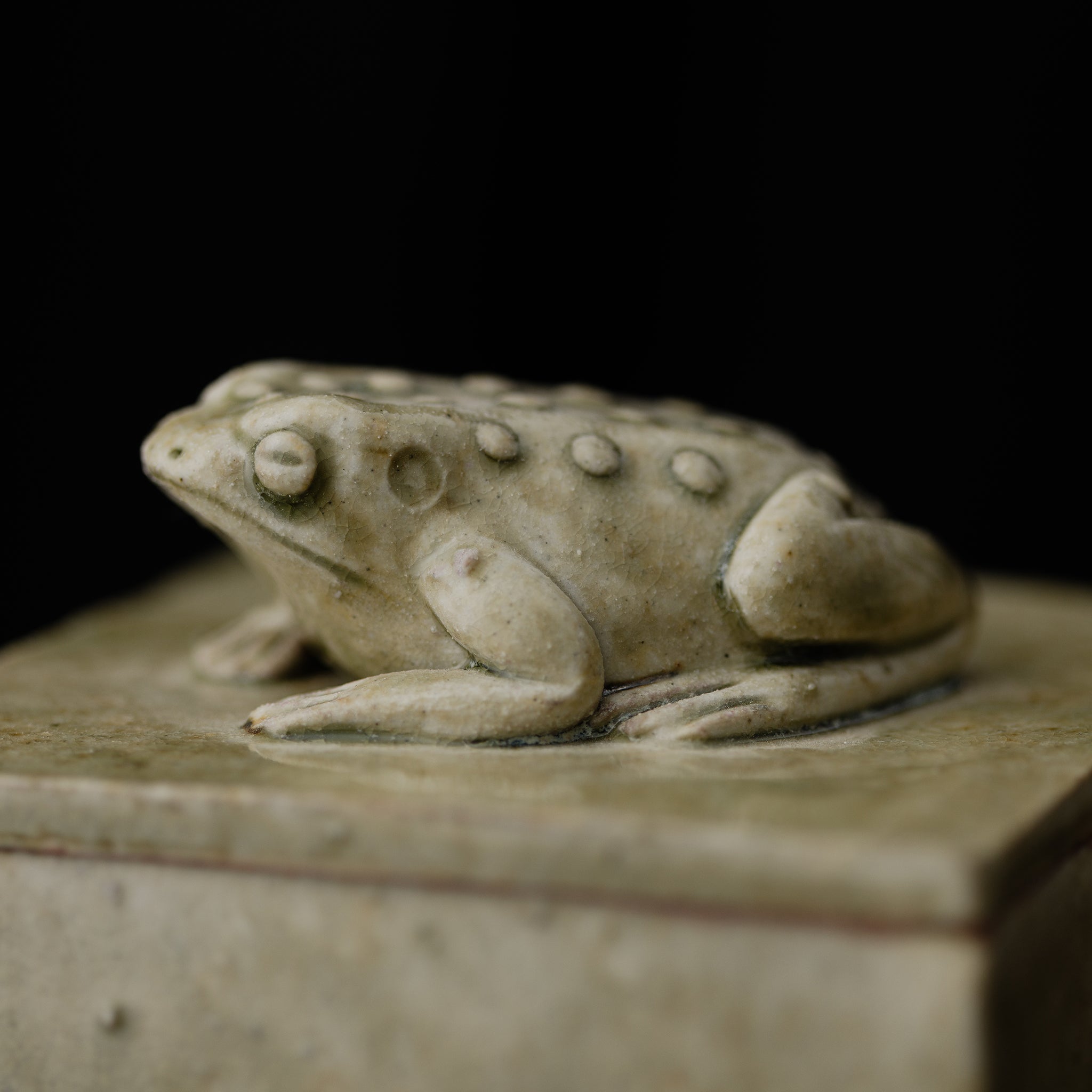 Box With A Toad No.155/25 - huba.studio