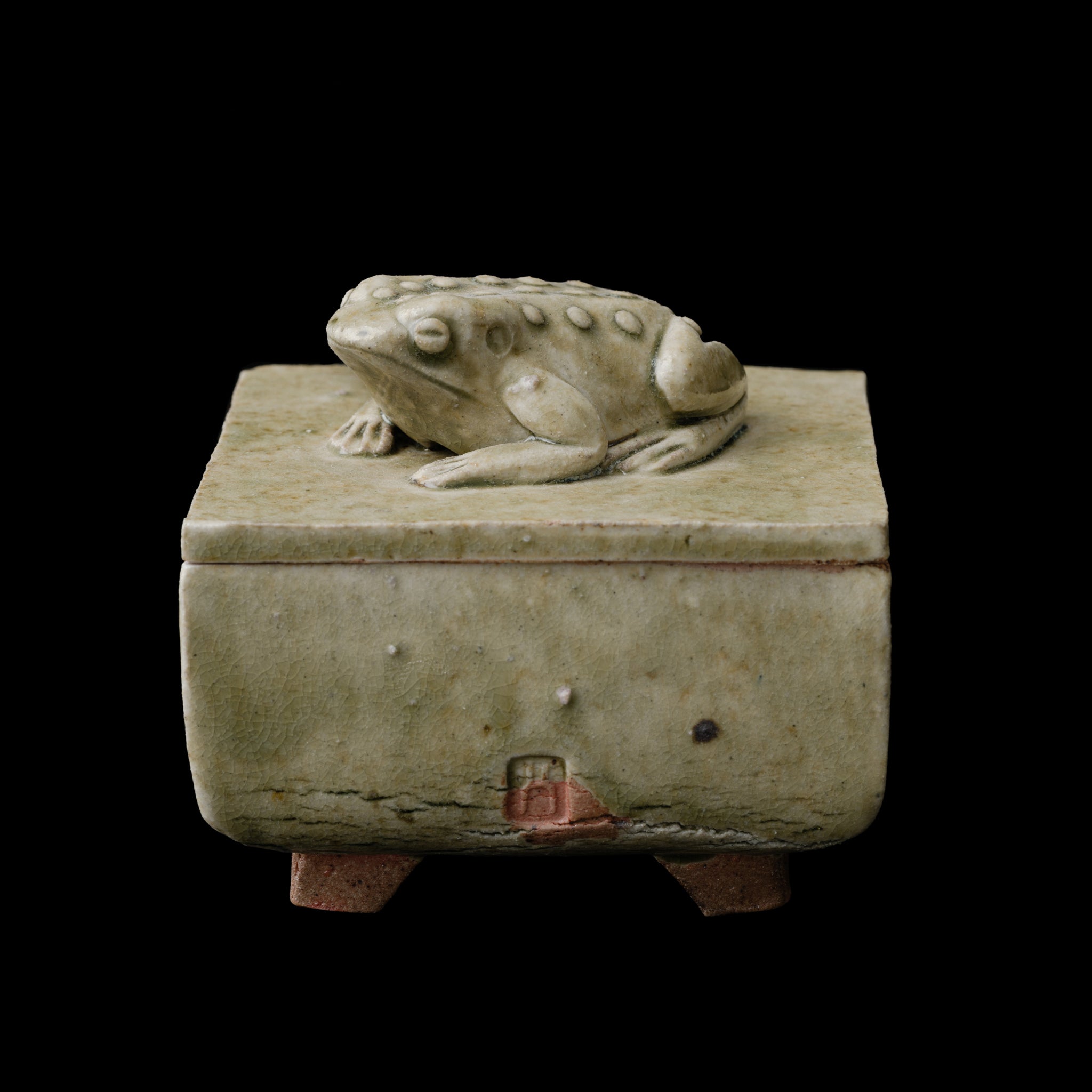 Box With A Toad No.155/25 - huba.studio