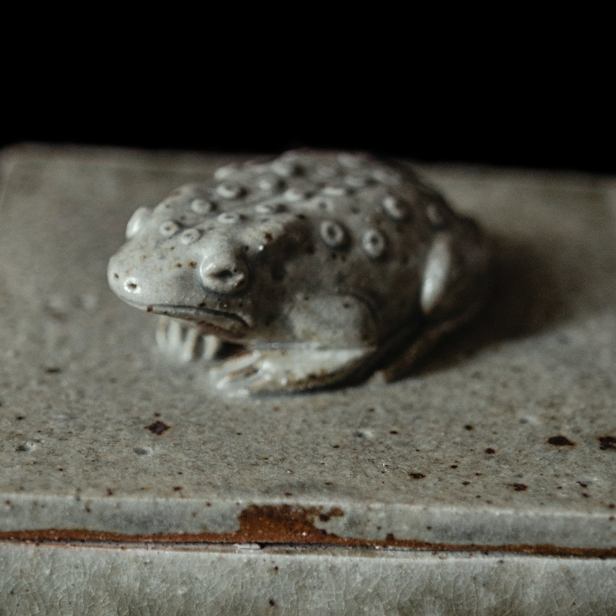 Box With a Toad No.89/24 - huba.studio