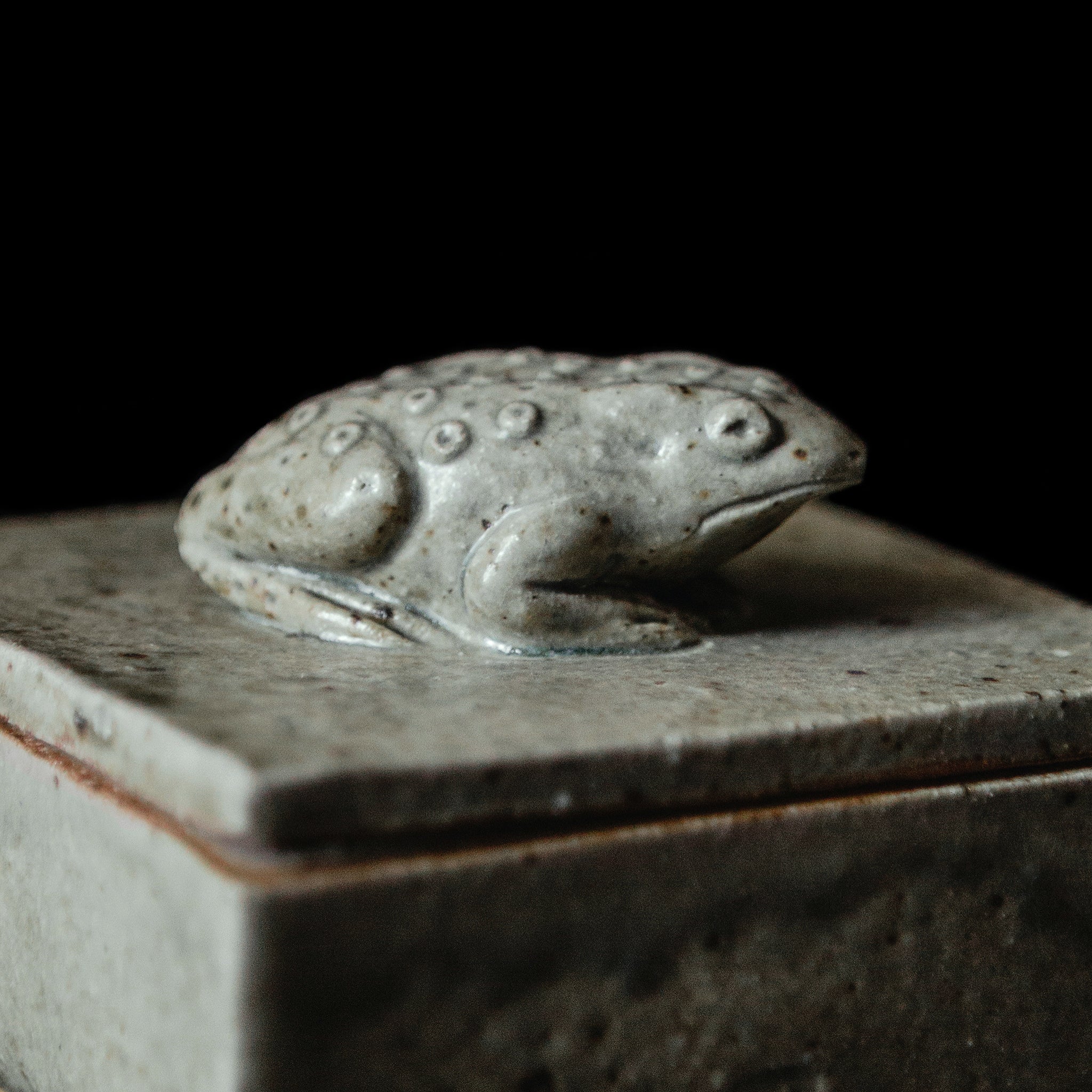 Box With a Toad No.89/24 - huba.studio