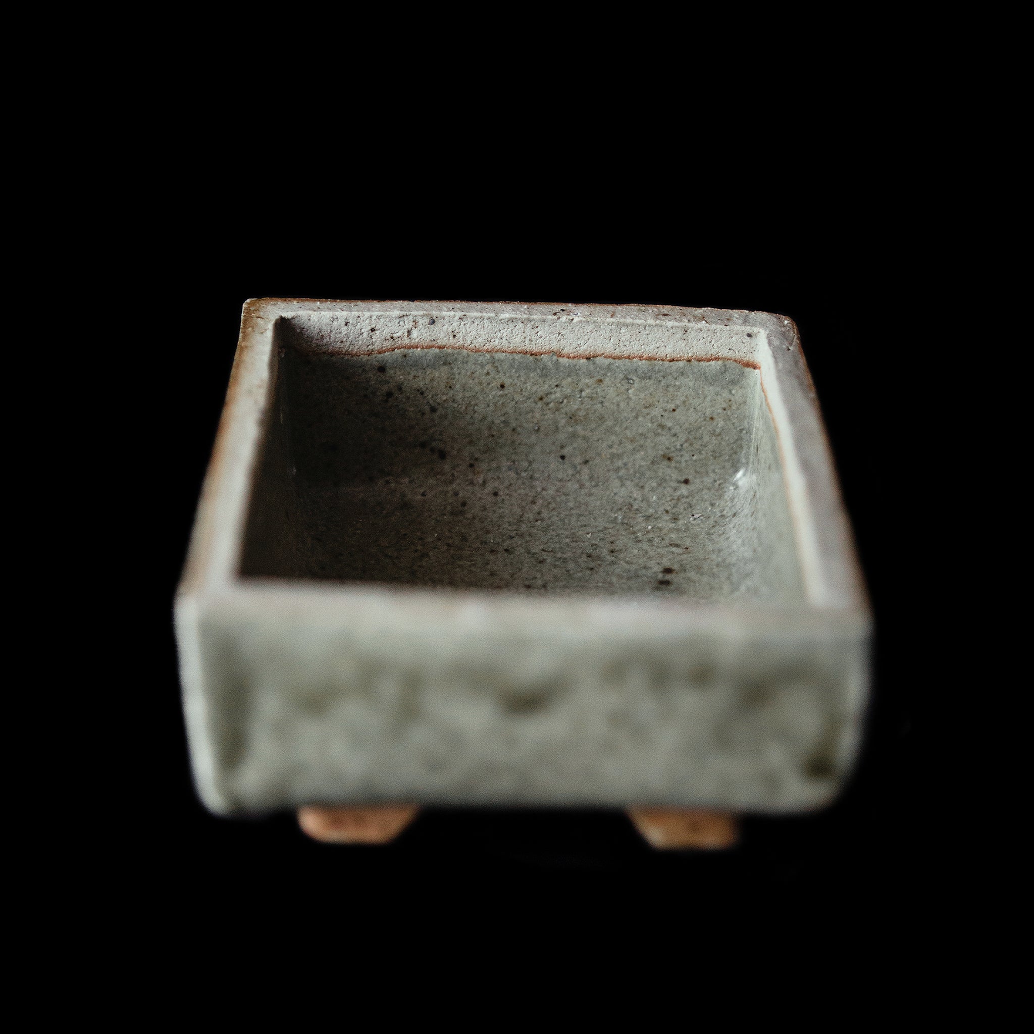 Box With a Toad No.89/24 - huba.studio