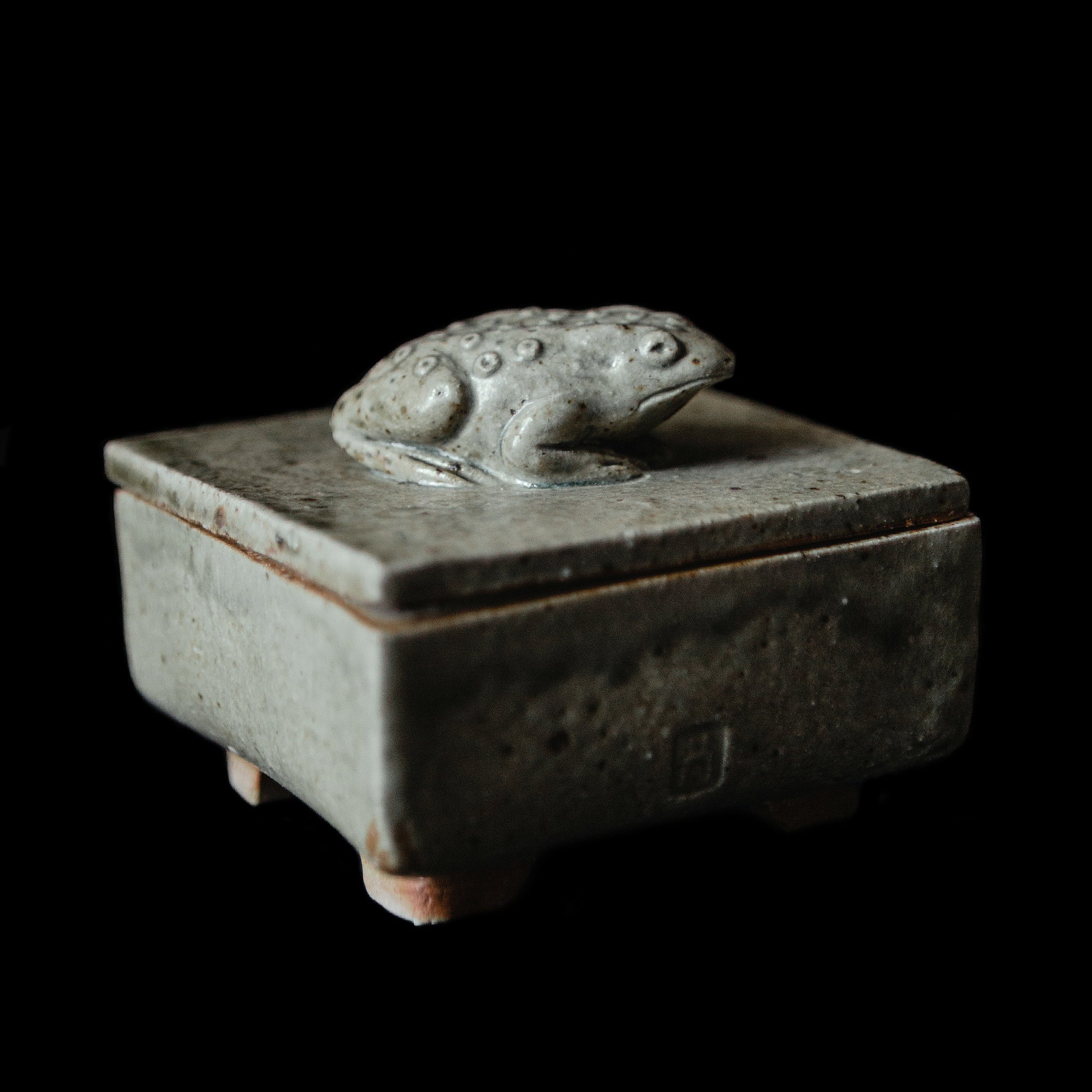 Box With a Toad No.89/24 - huba.studio