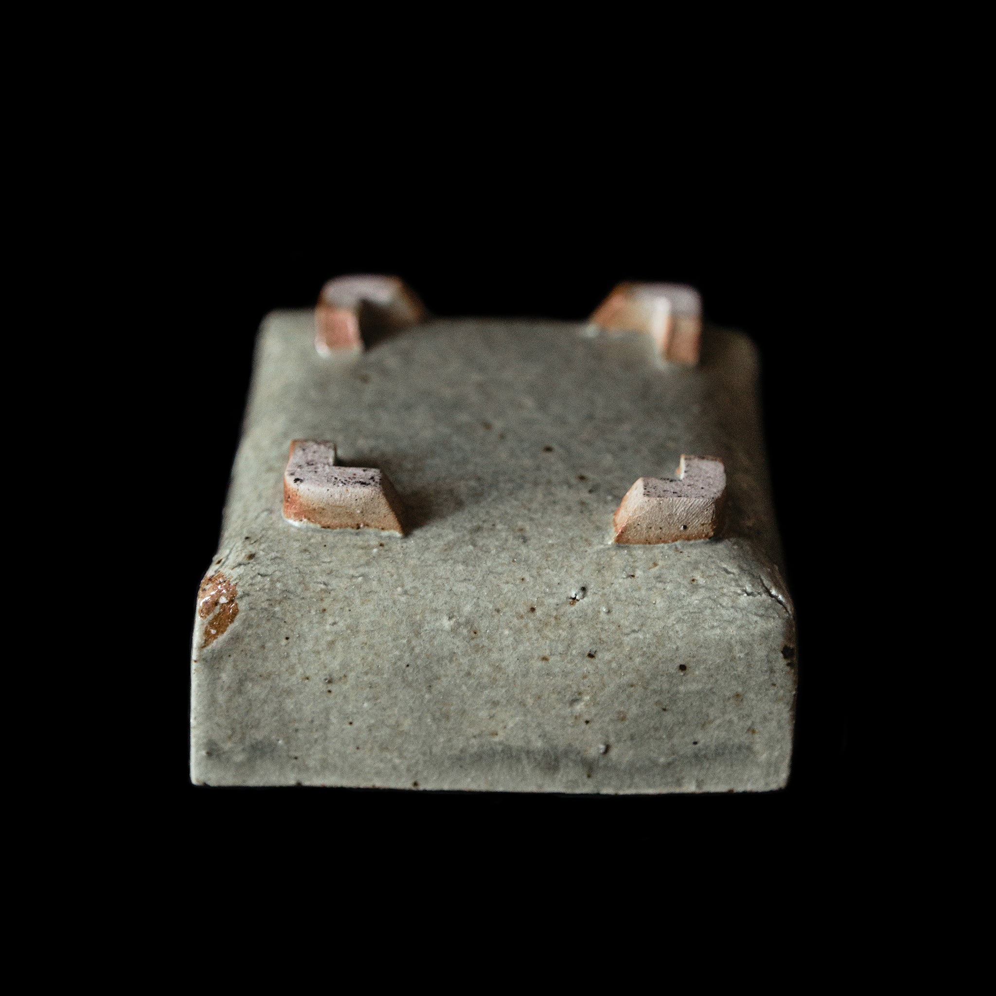 Box With a Toad No.89/24 - huba.studio