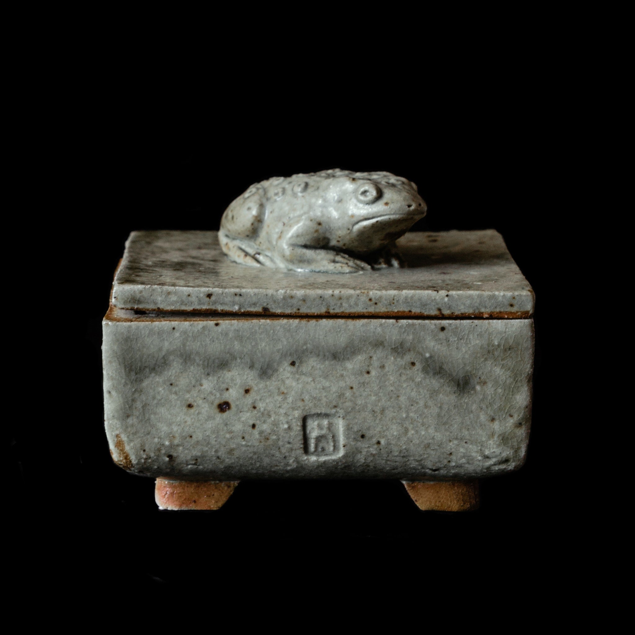 Box With a Toad No.89/24 - huba.studio
